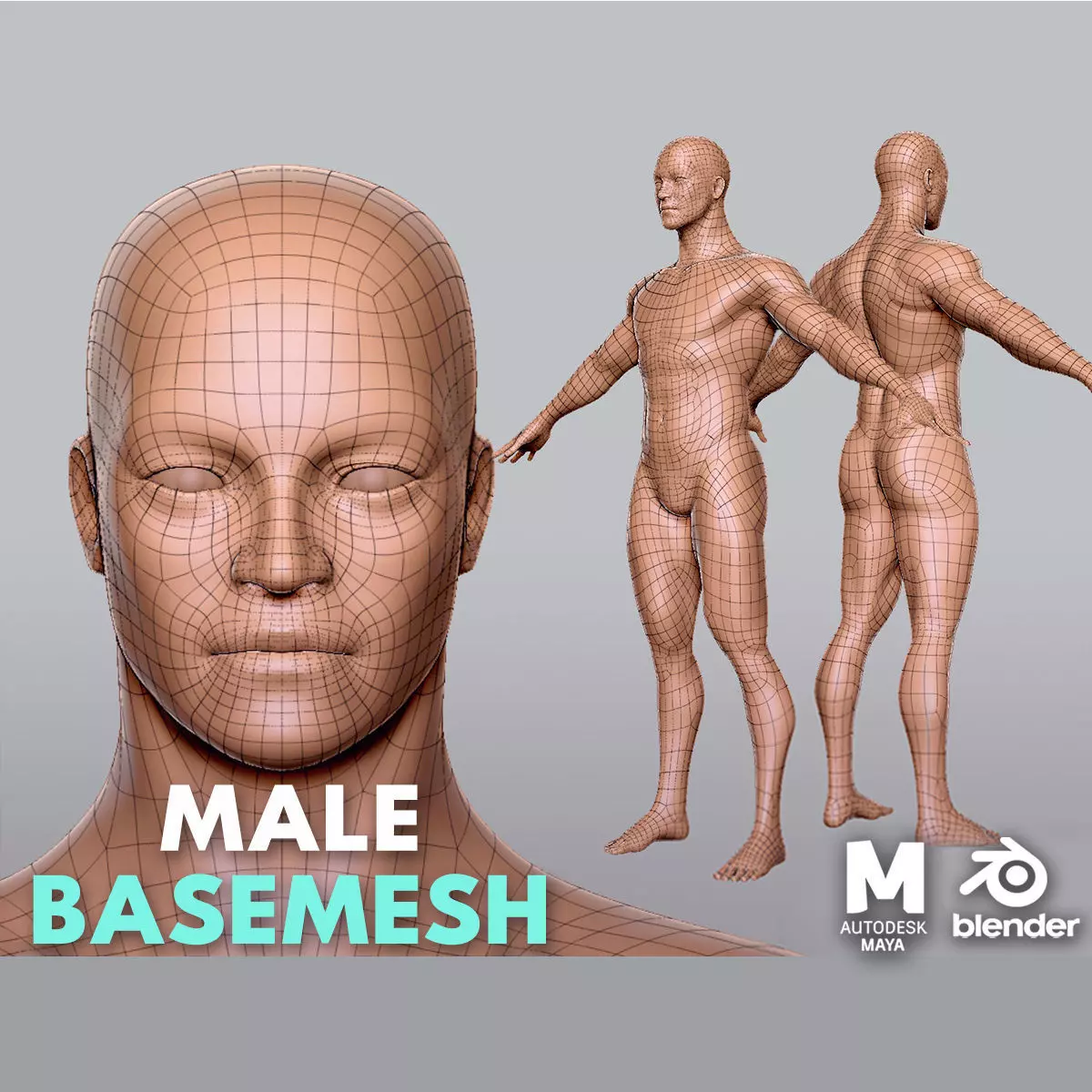 Male   BaseMesh Low-poly 3D model_0