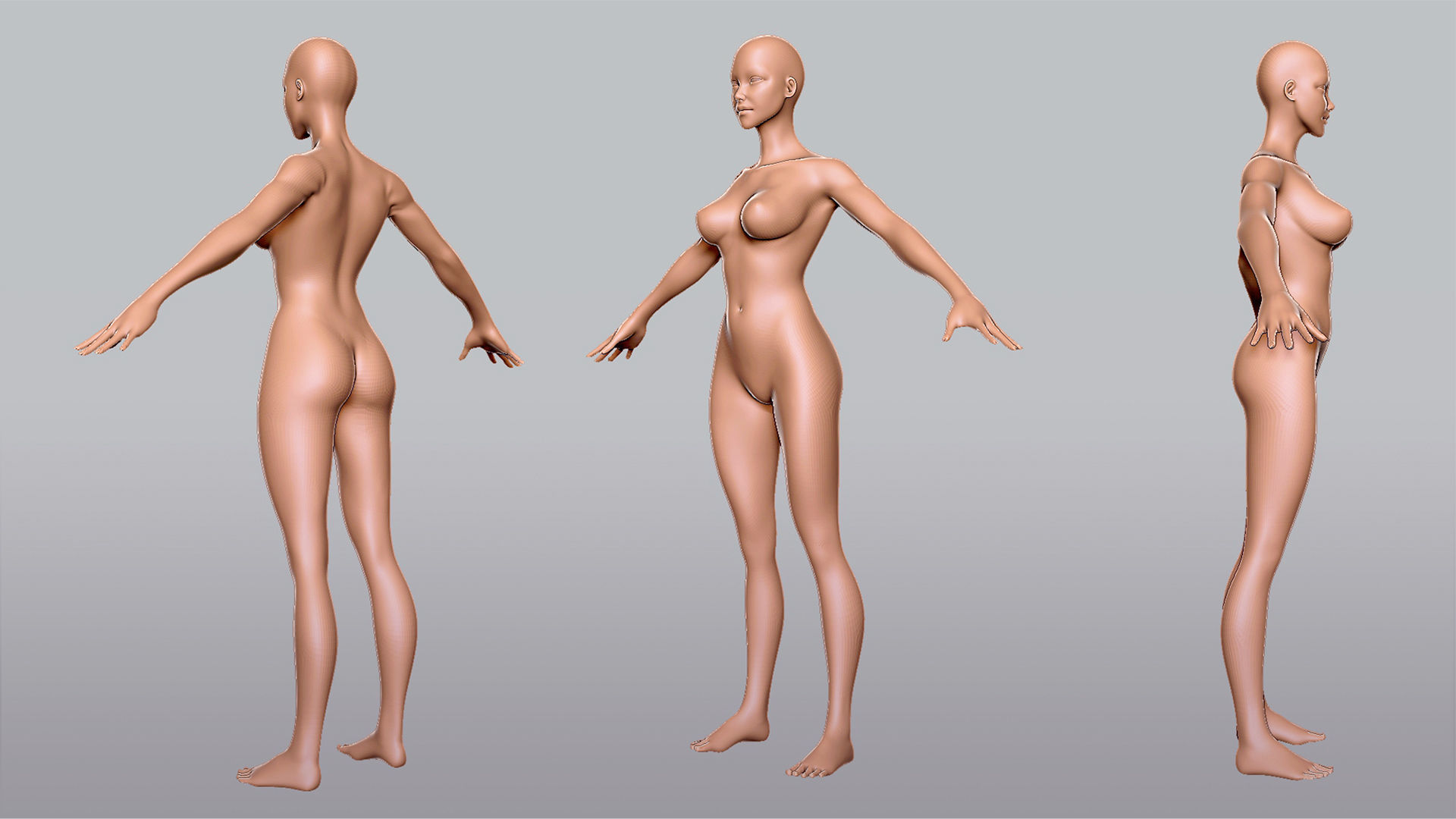 Male n Female Basemesh 3D Model Collection_7