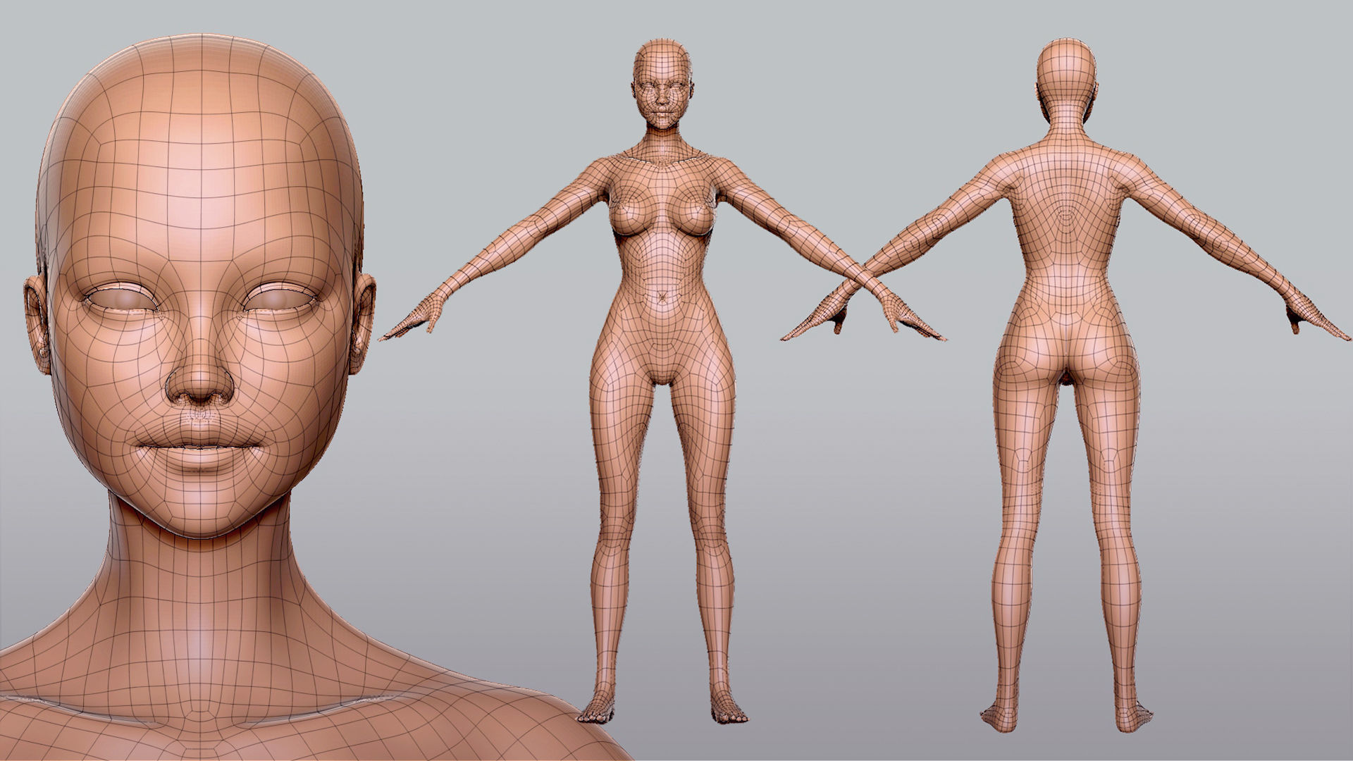 Male n Female Basemesh 3D Model Collection_4