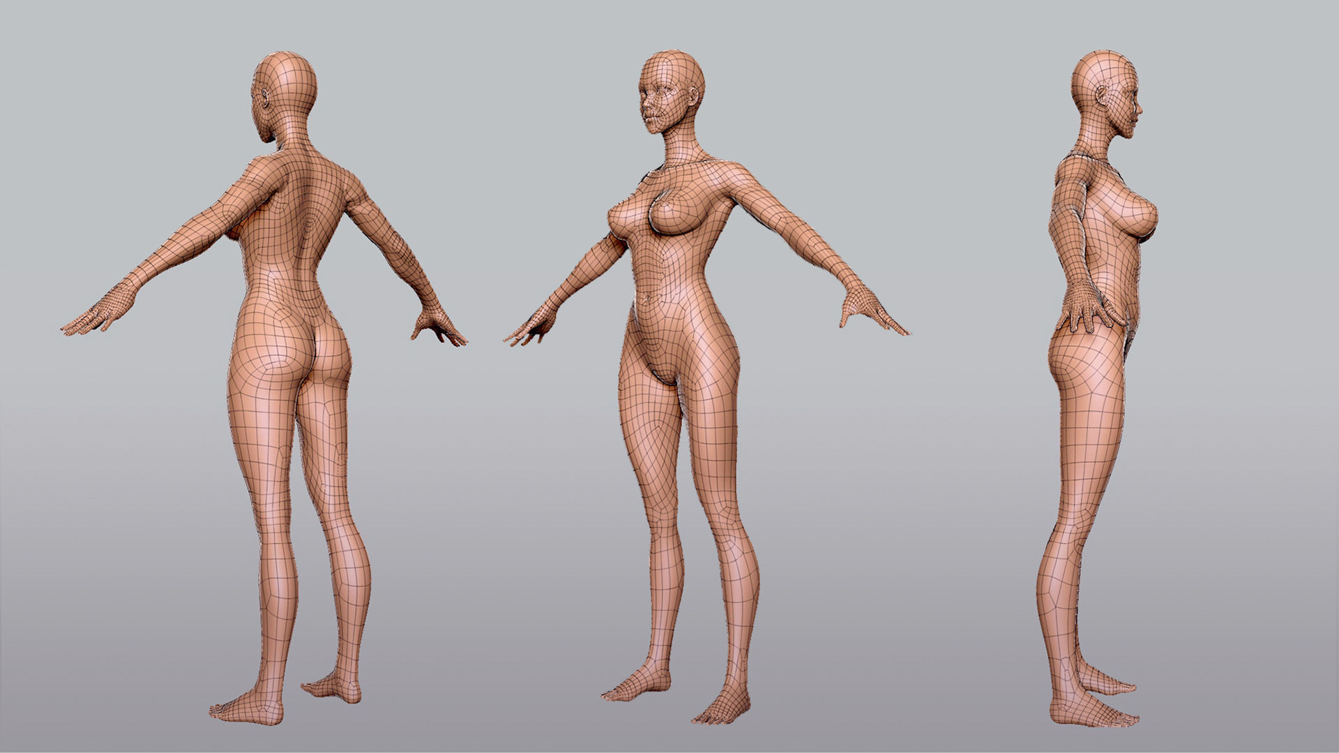 Male n Female Basemesh 3D Model Collection_6