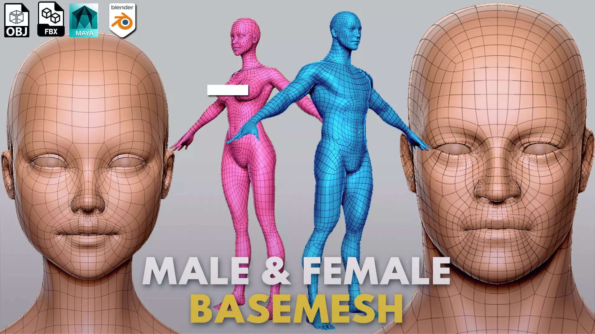 Male n Female Basemesh 3D Model Collection_0