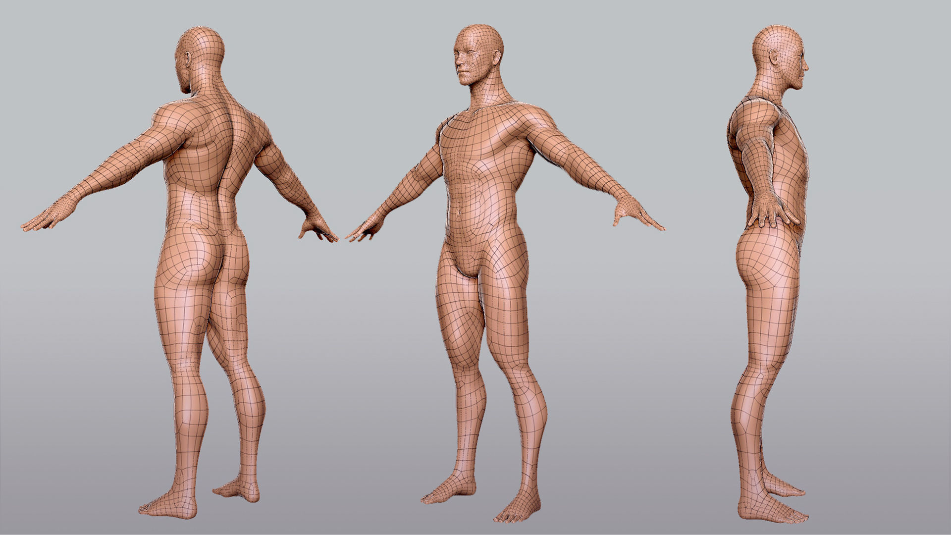 Male n Female Basemesh 3D Model Collection_11