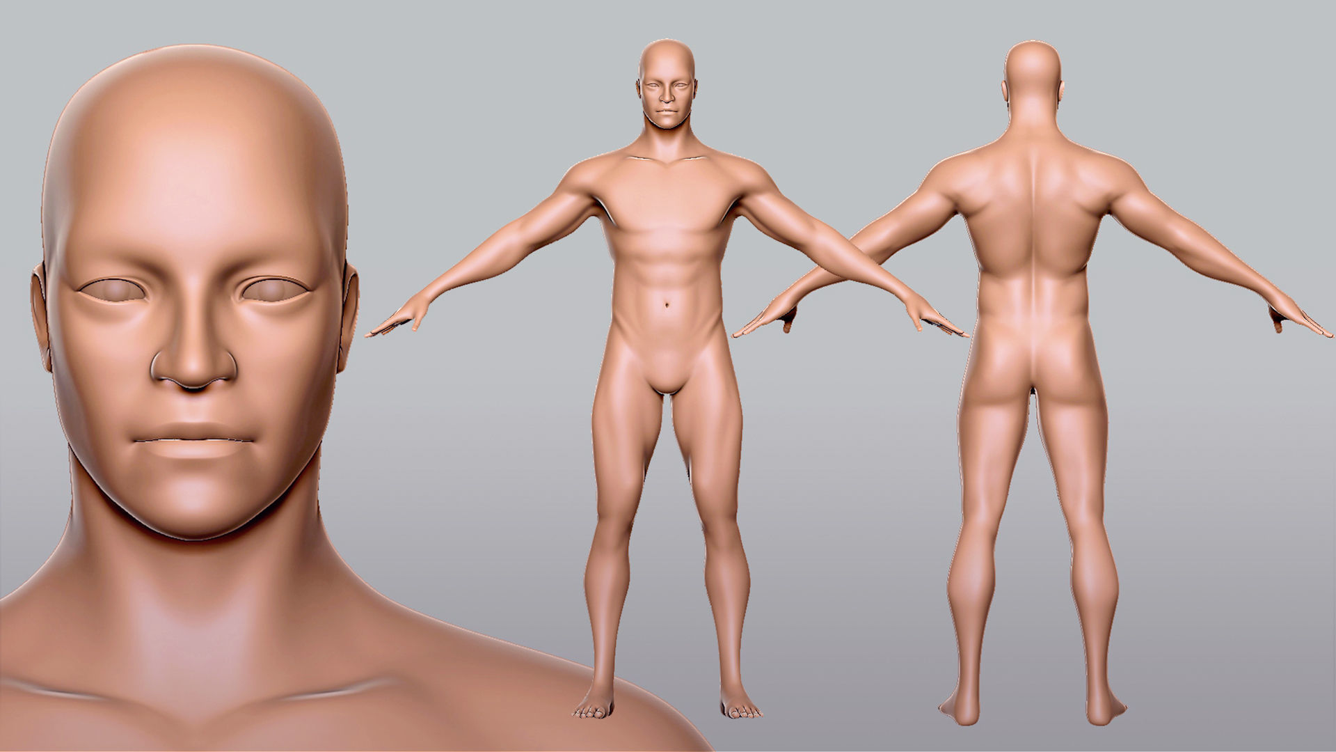 Male n Female Basemesh 3D Model Collection_10