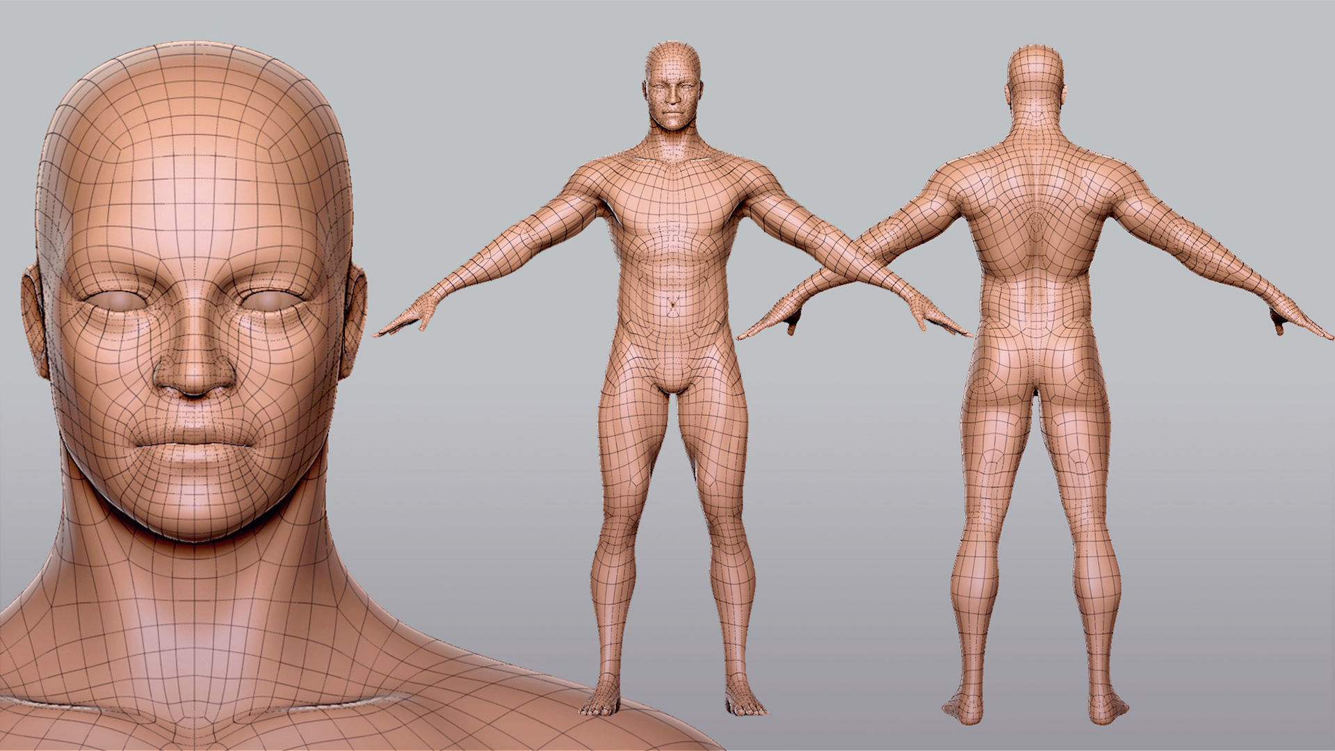 Male n Female Basemesh 3D Model Collection_9