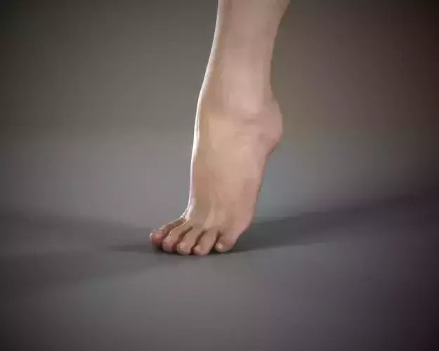 Woman Foot Low-poly 3D model
