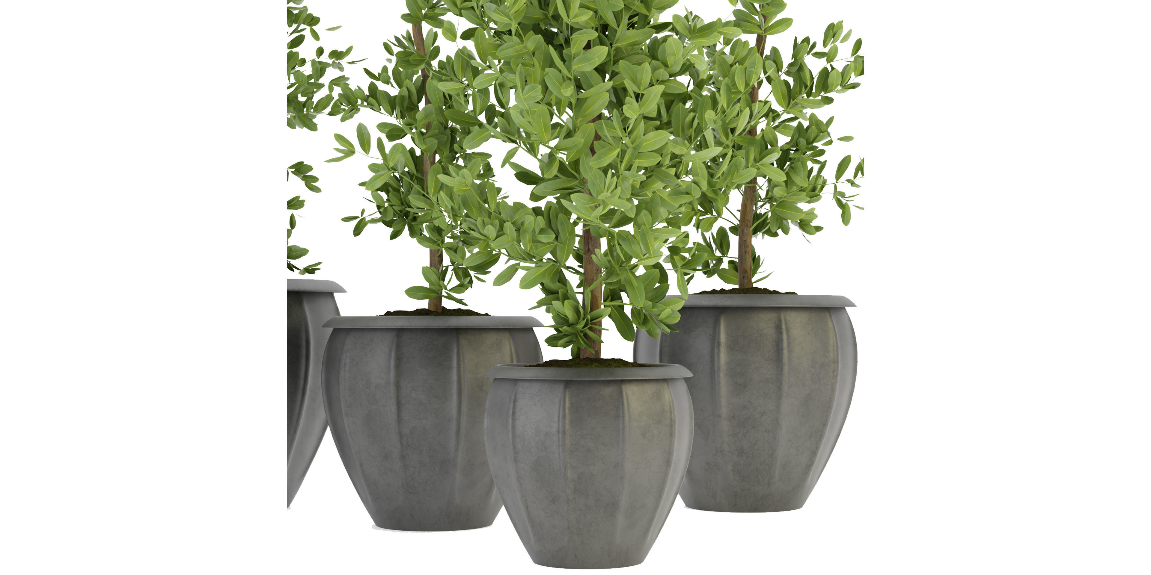  Collection plant vol 299 - blender model  3D model_4