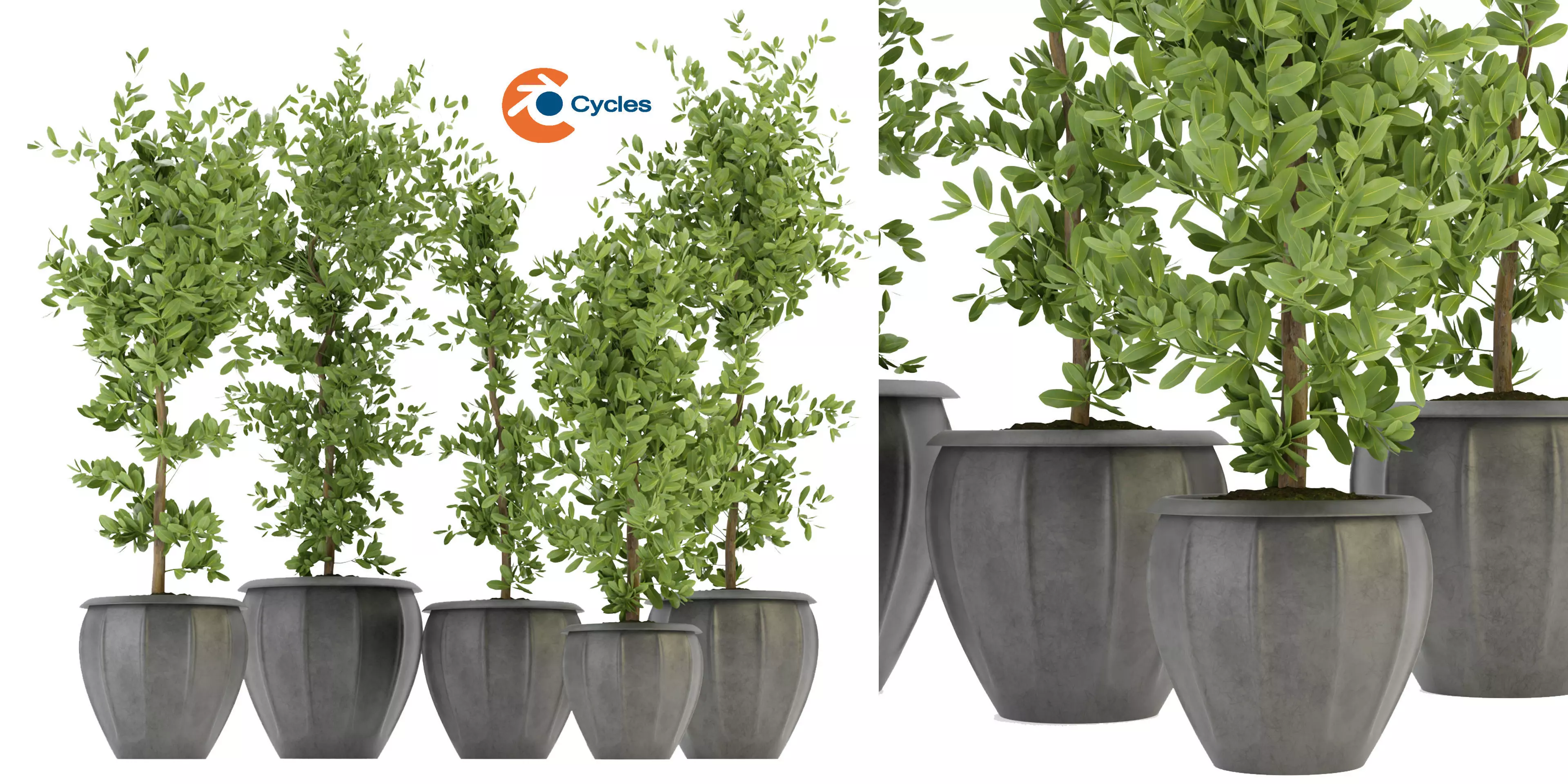  Collection plant vol 299 - blender model  3D model_0