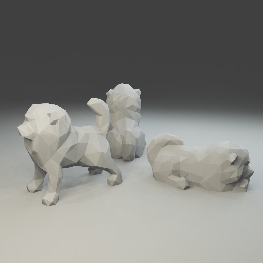 Low polygon chow-chow 3D print model in three poses 3D print model_4