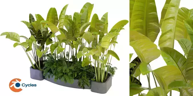 Collection plant vol 301 - blender model