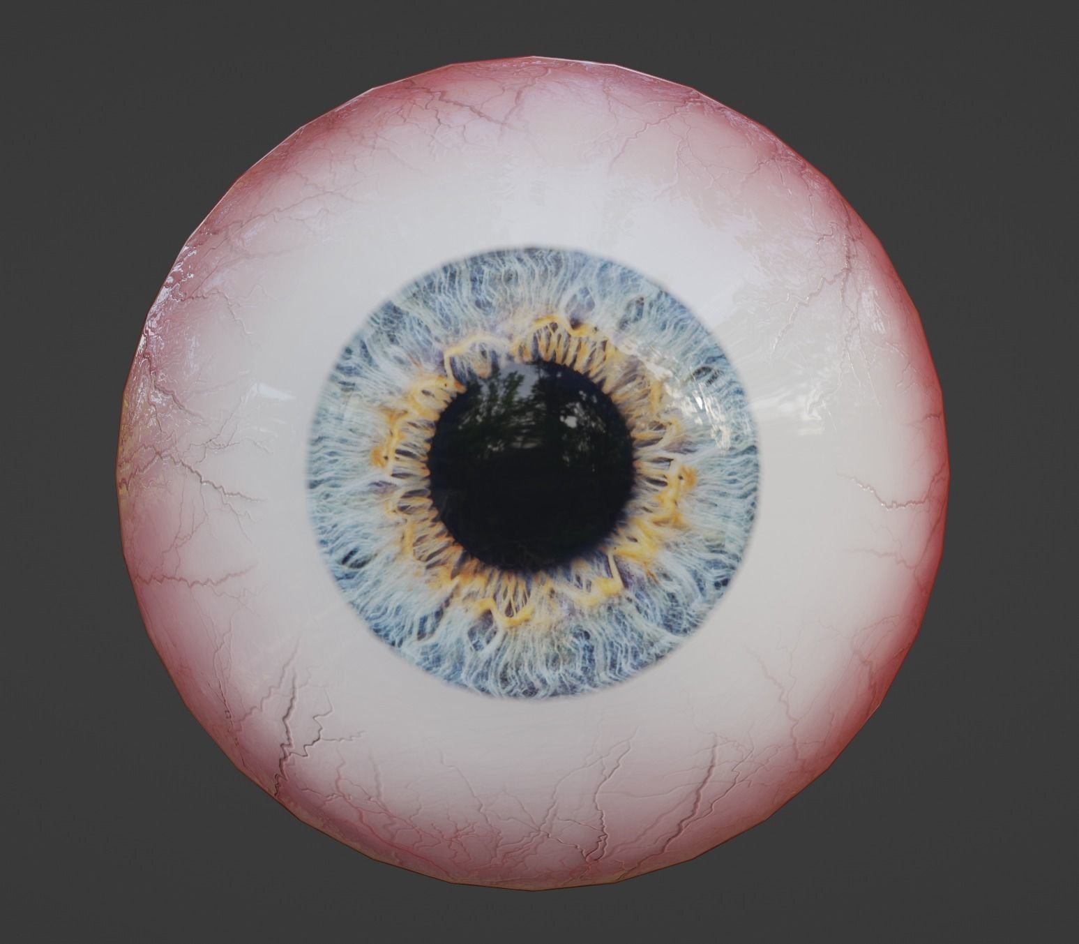 Realistic Eye 3D Model 3D model_4