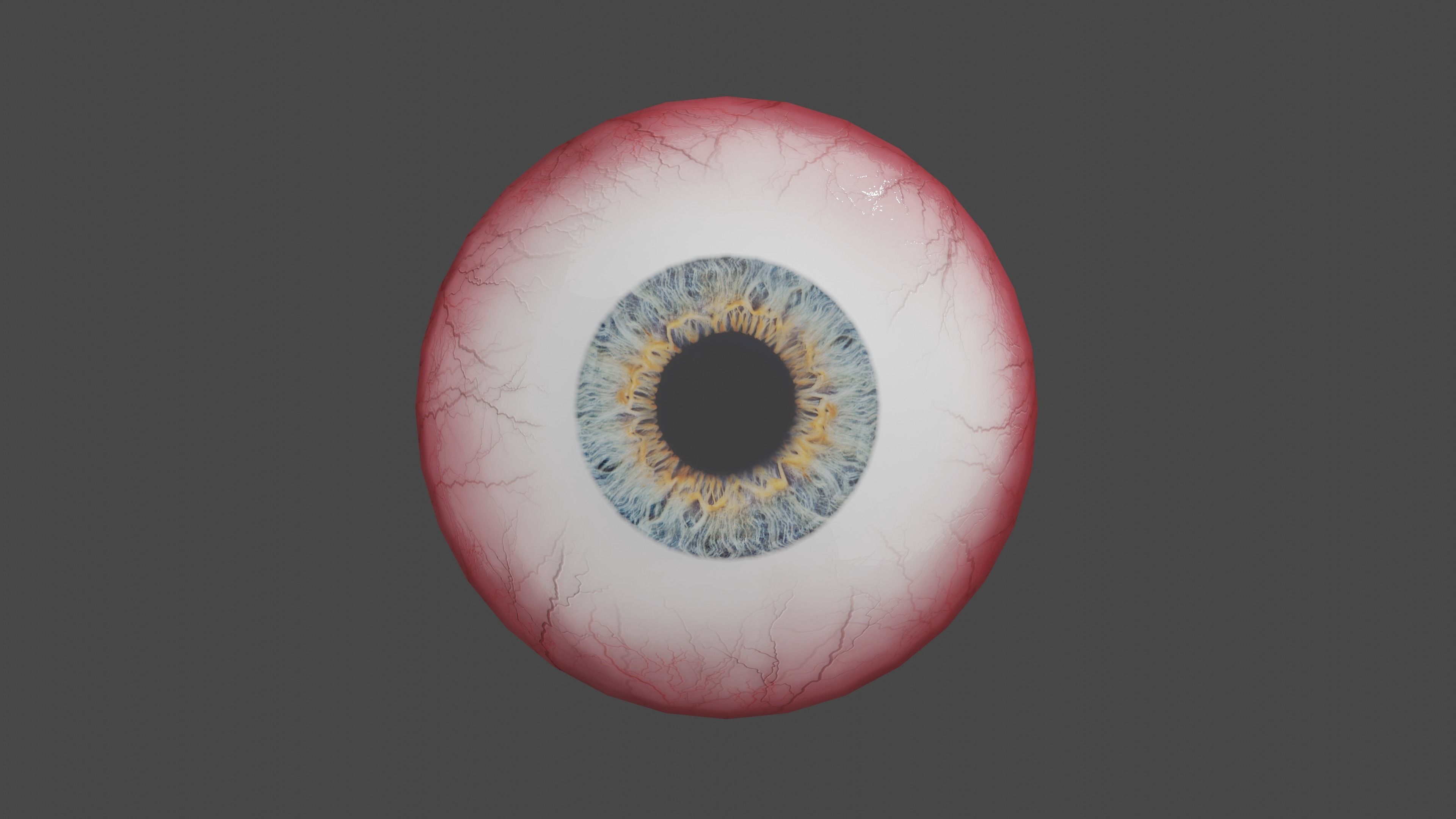 Realistic Eye 3D Model 3D model_5