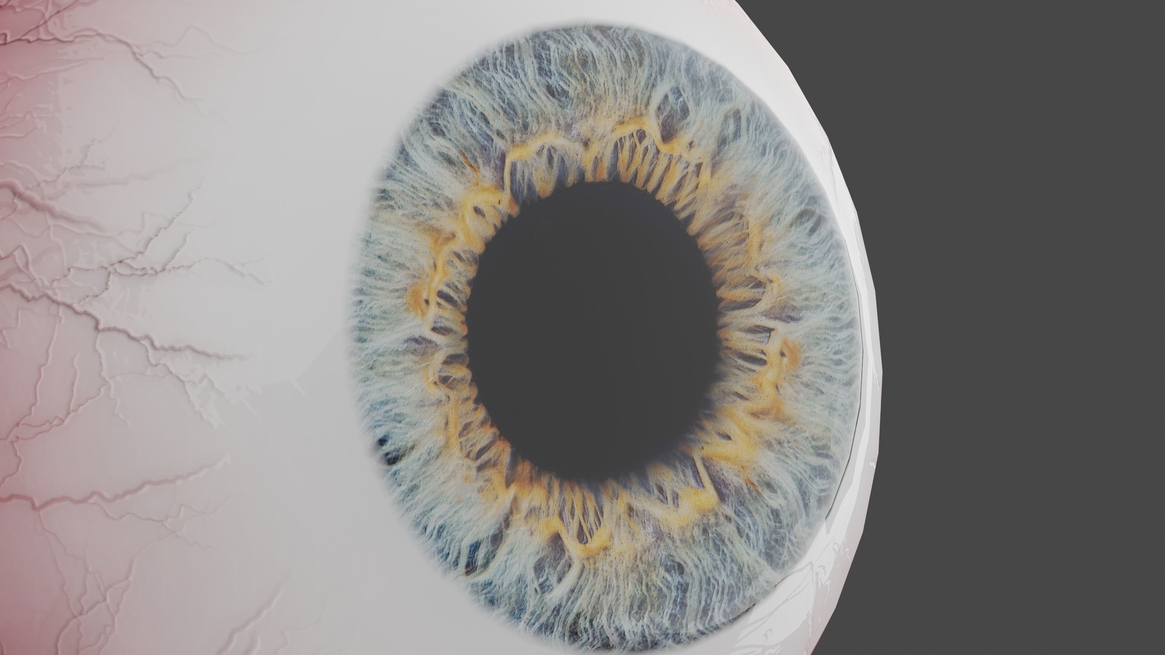 Realistic Eye 3D Model 3D model_2