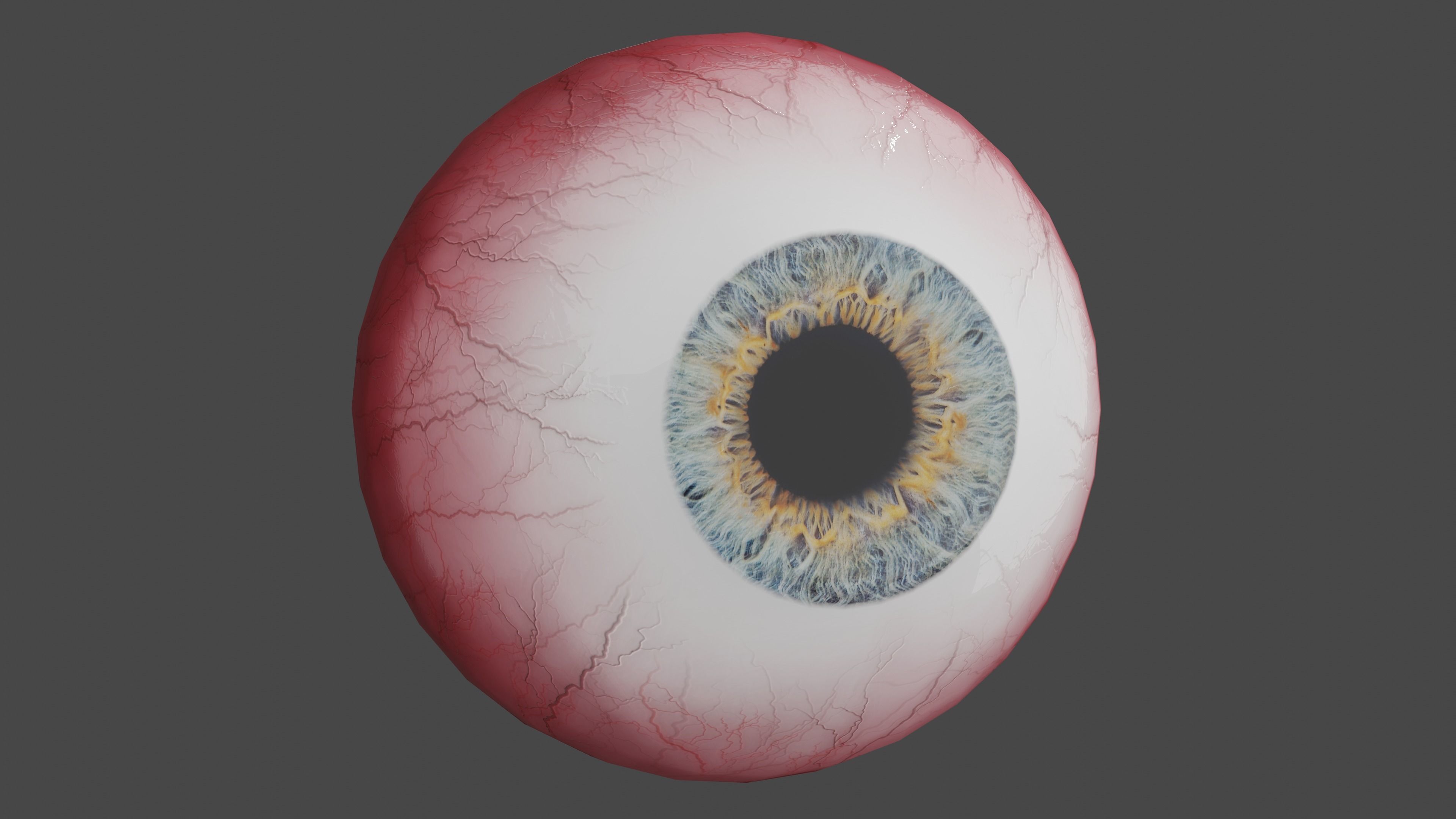 Realistic Eye 3D Model 3D model_1