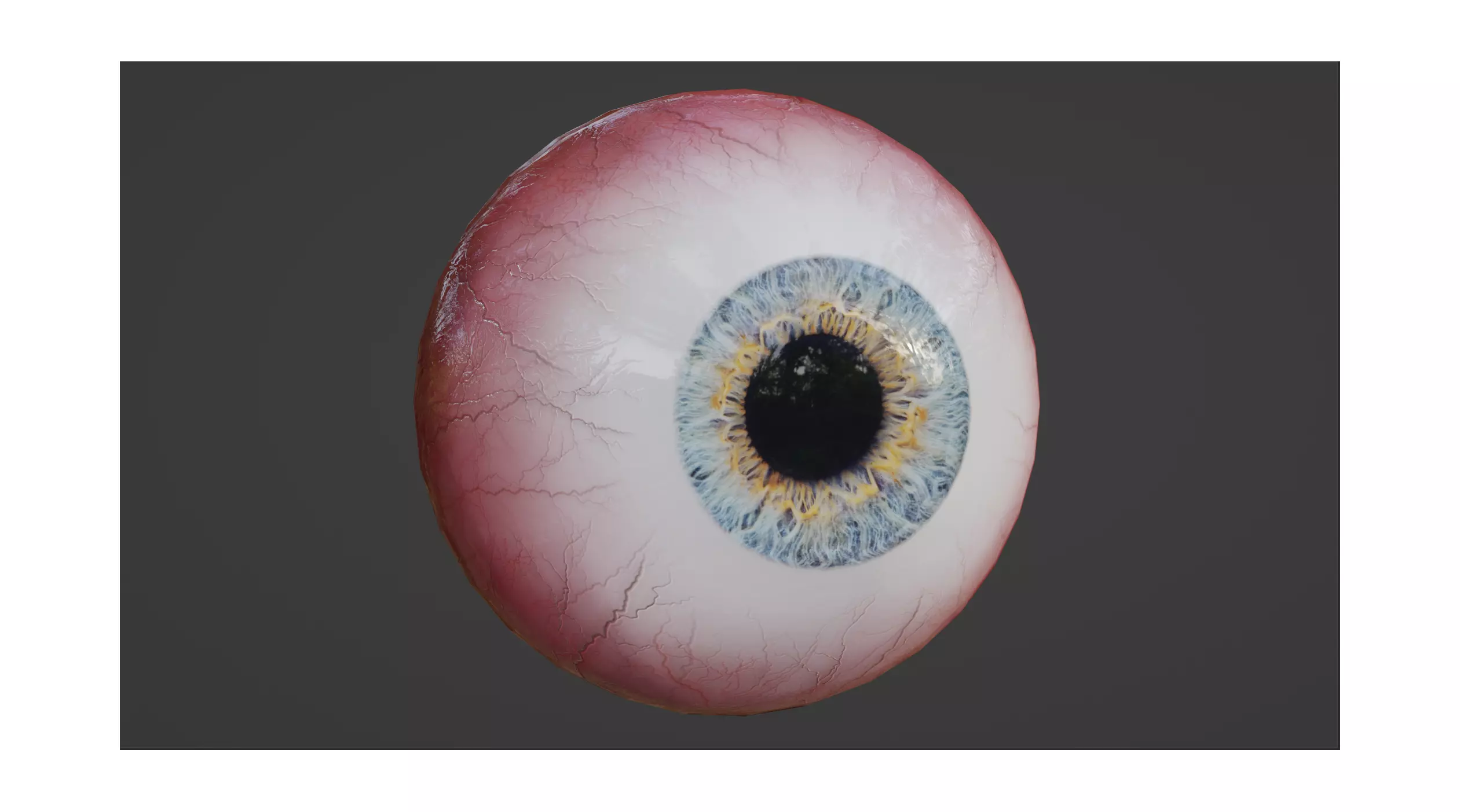 Realistic Eye 3D Model 3D model_0