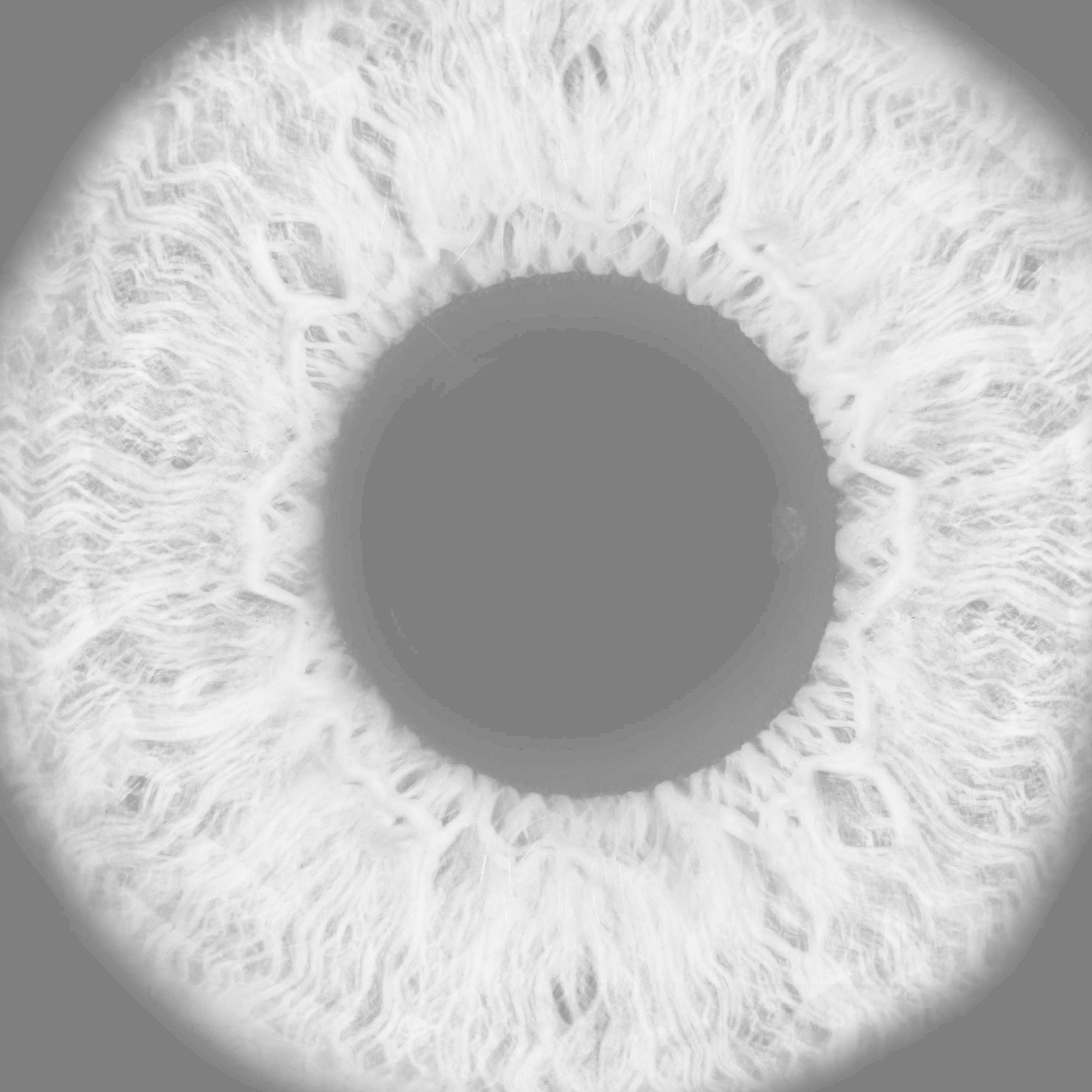 Realistic Eye 3D Model 3D model_13