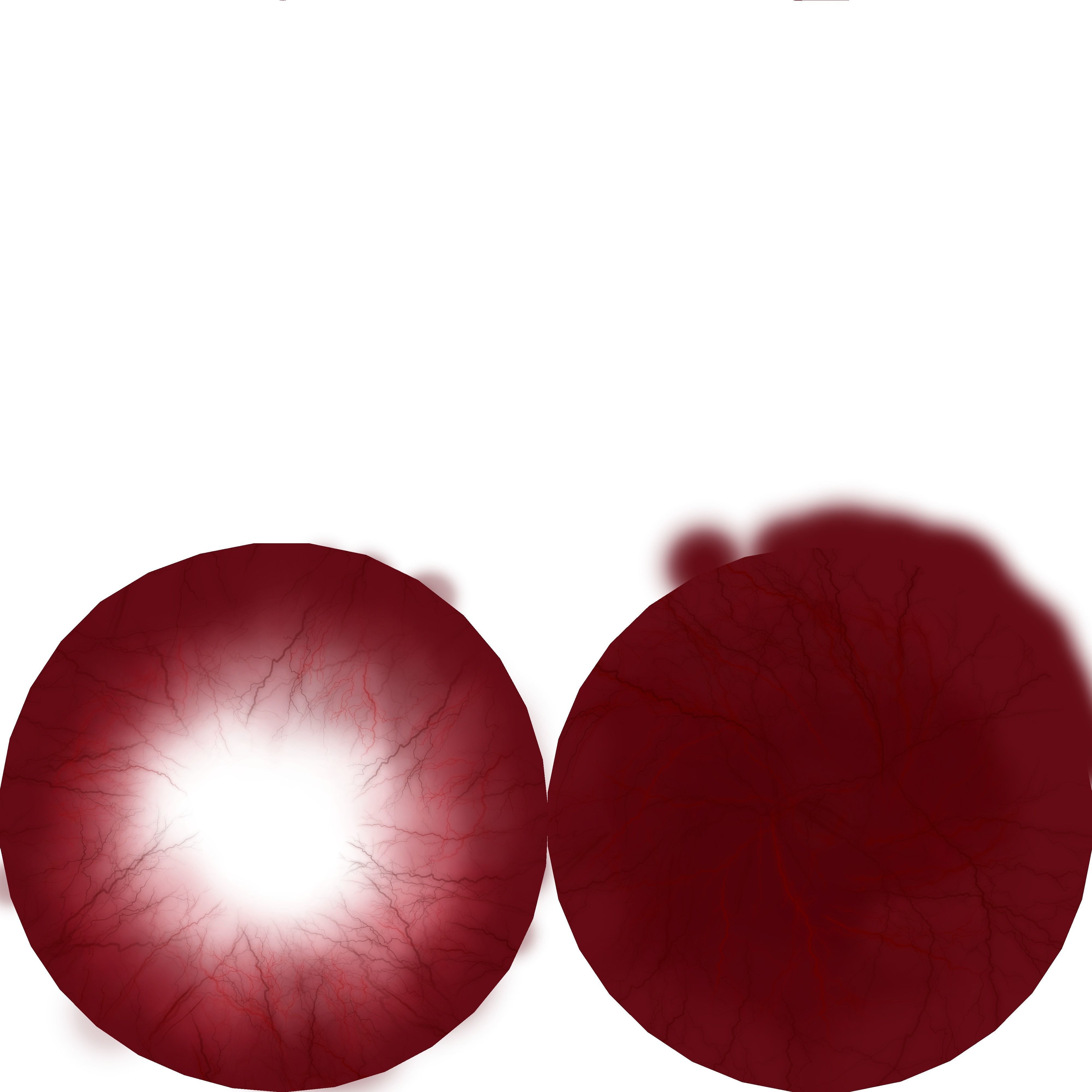 Realistic Eye 3D Model 3D model_11