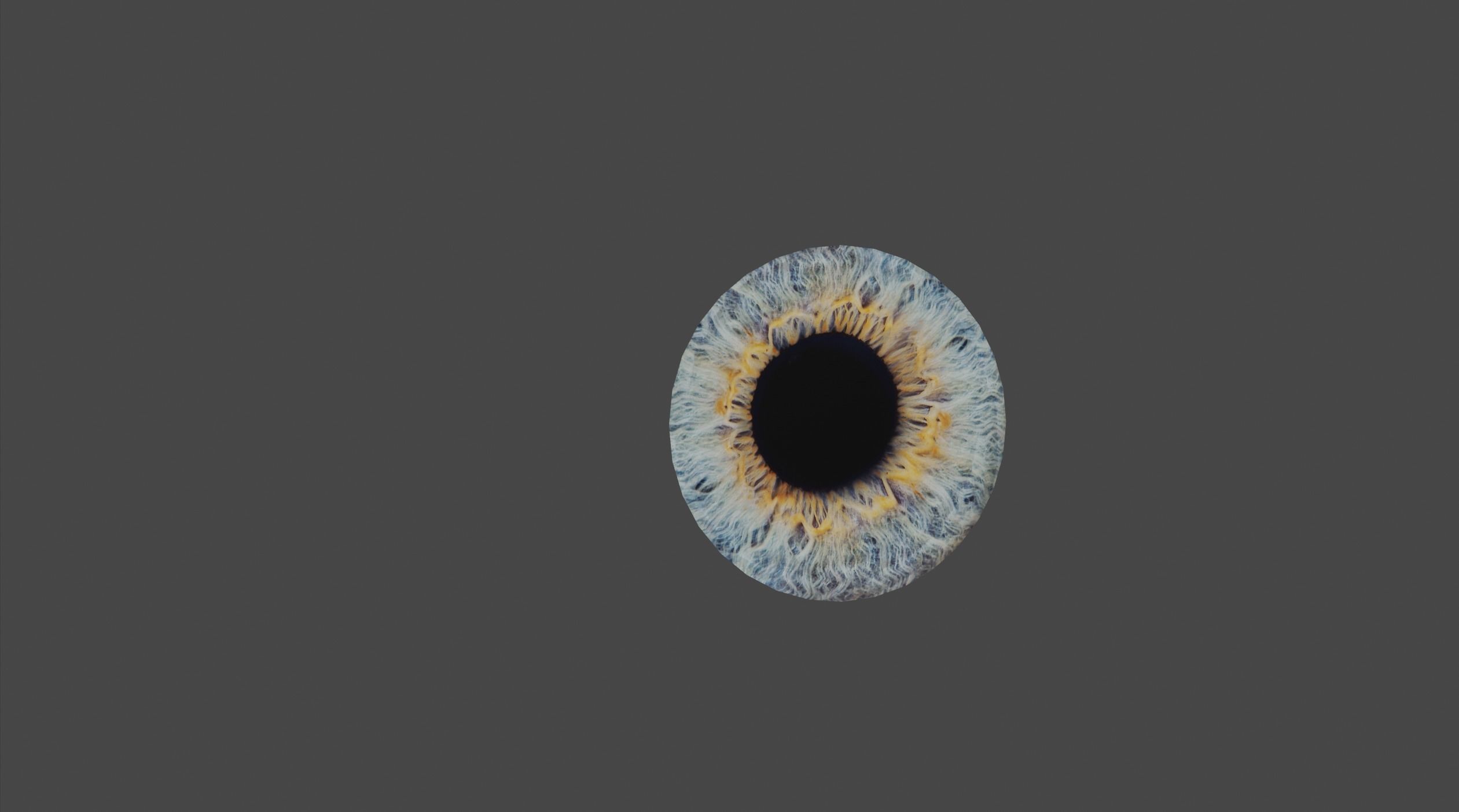 Realistic Eye 3D Model 3D model_8