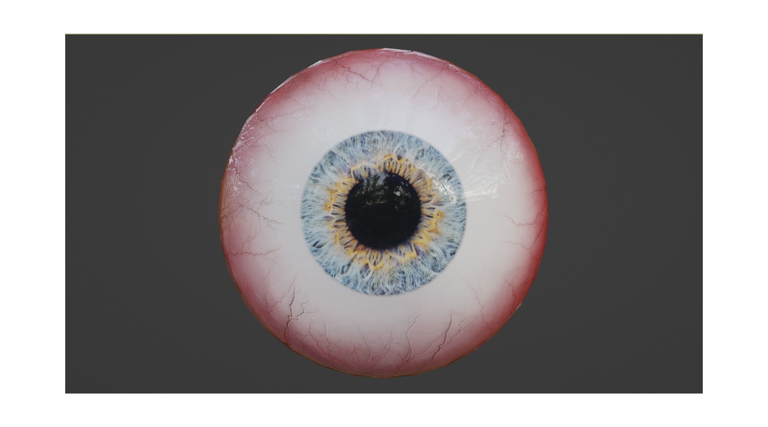Realistic Eye 3D Model 3D model_3