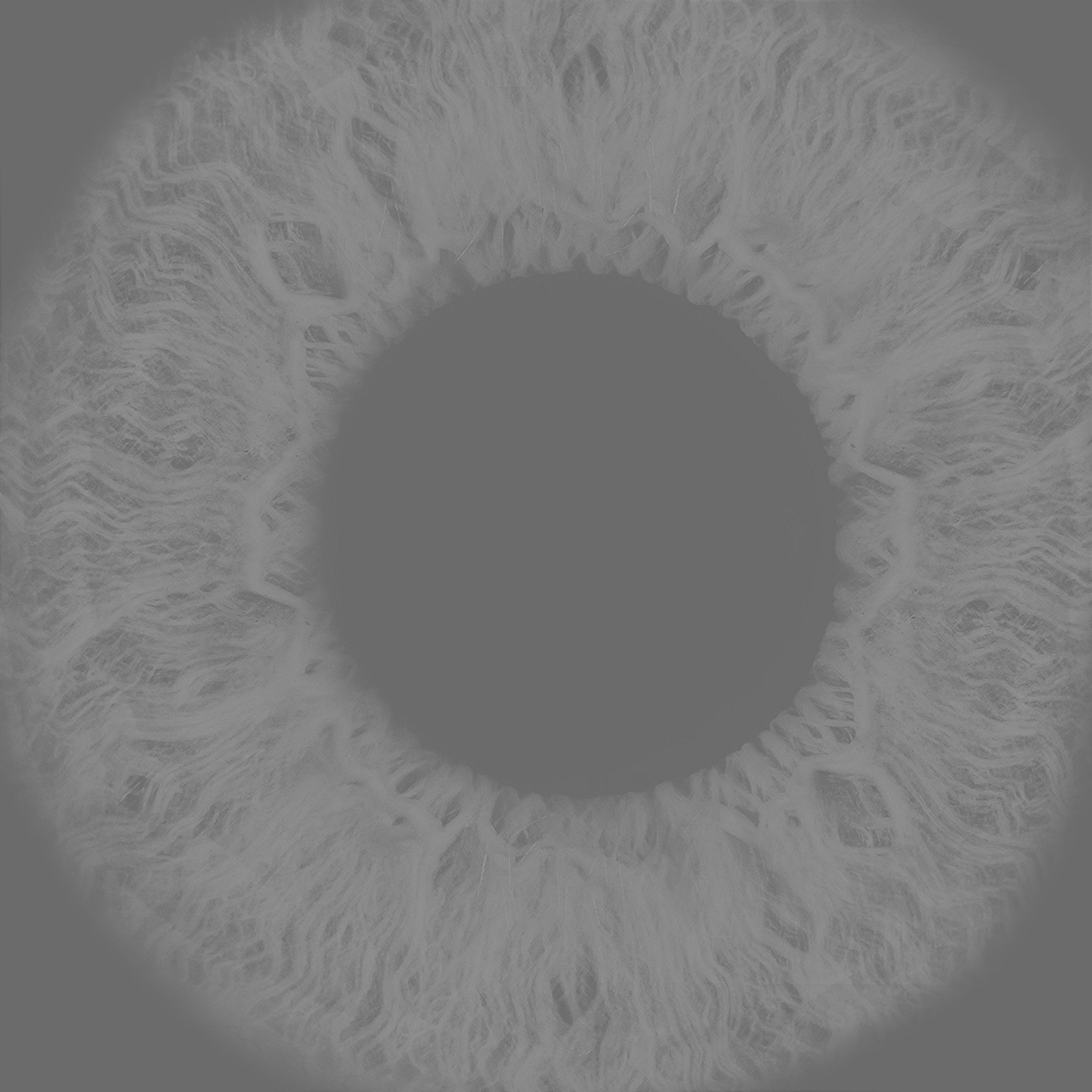 Realistic Eye 3D Model 3D model_20