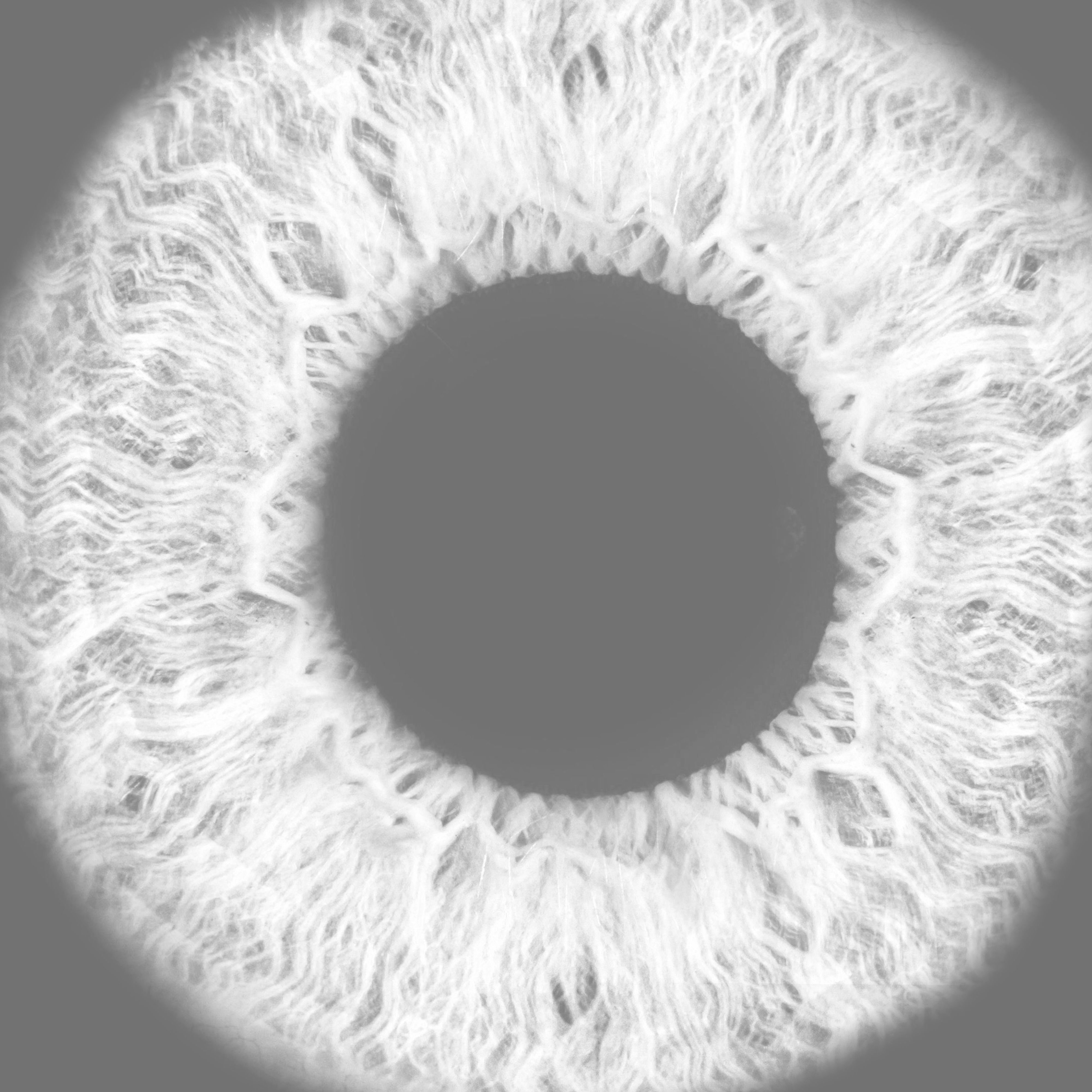 Realistic Eye 3D Model 3D model_33