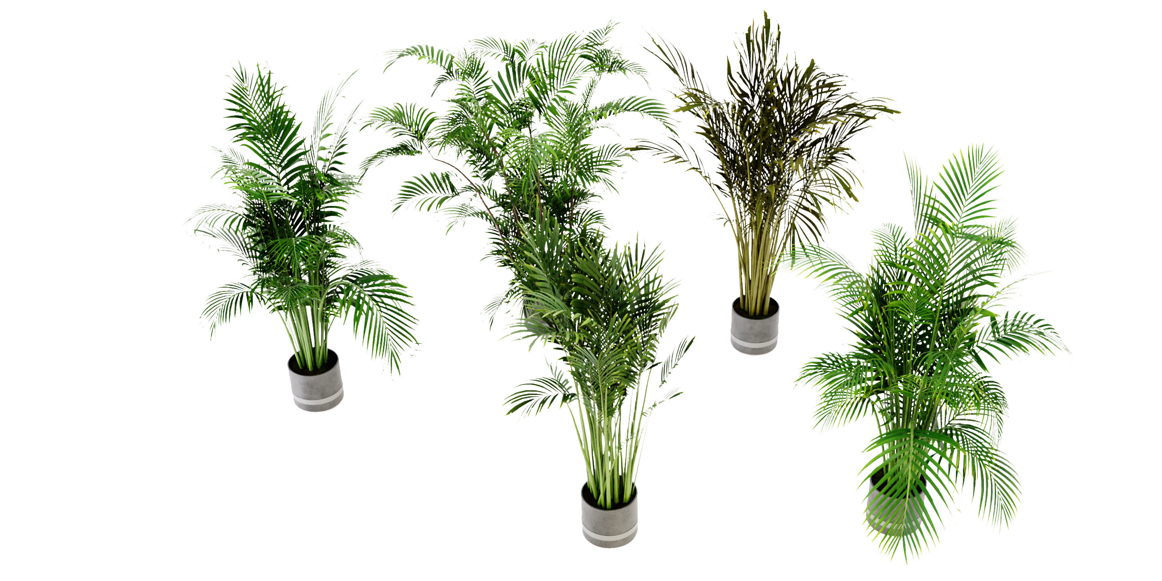 Collection plant vol 307 - blender model 3D model_5