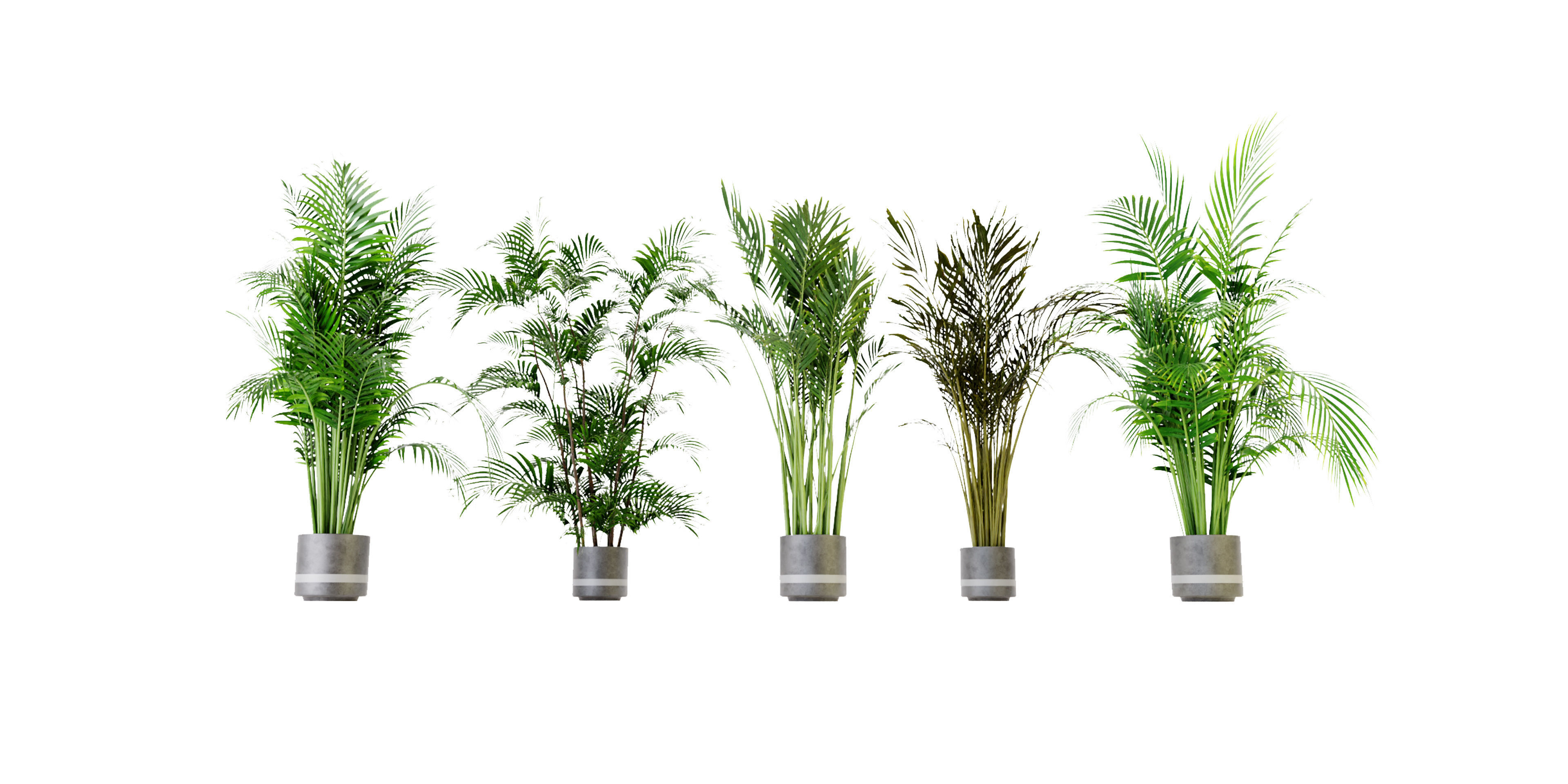 Collection plant vol 307 - blender model 3D model_1