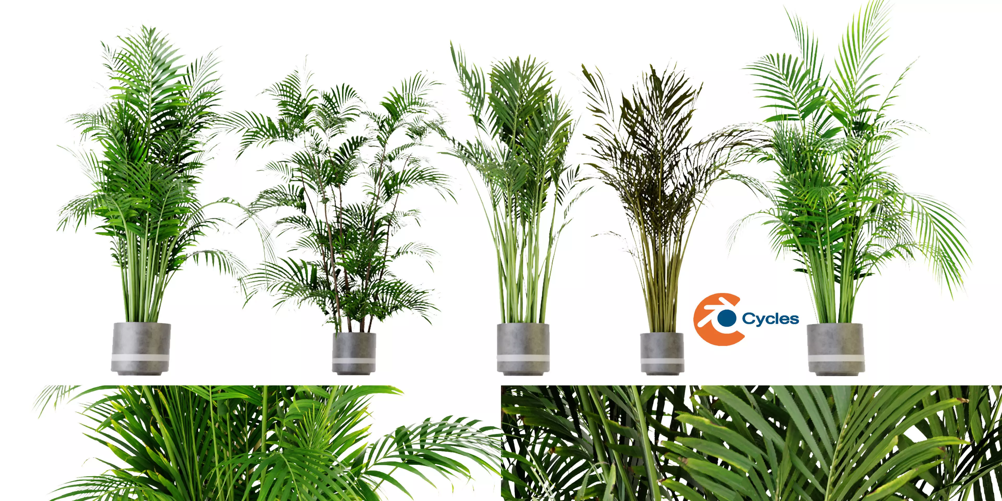 Collection plant vol 307 - blender model 3D model_0