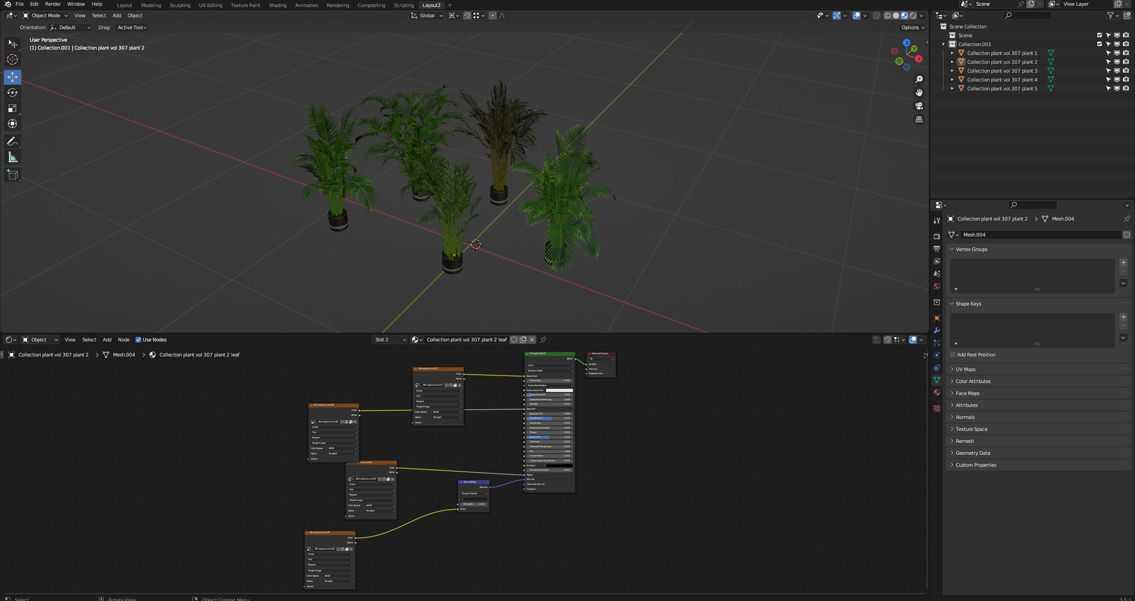 Collection plant vol 307 - blender model 3D model_6