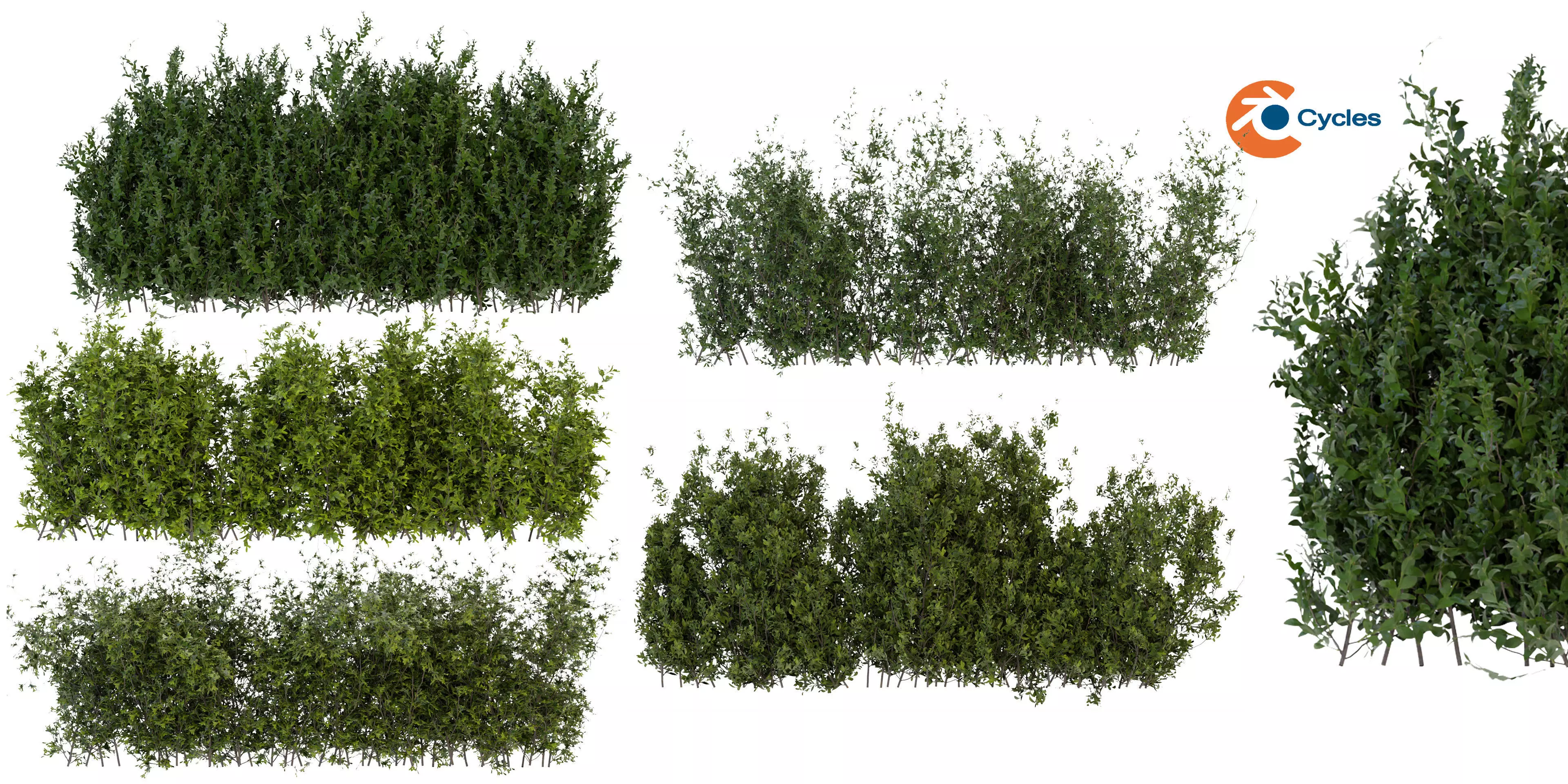 Collection plant vol 309 - blender model  3D model_0