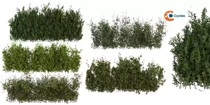 Collection plant vol 309 - blender model 