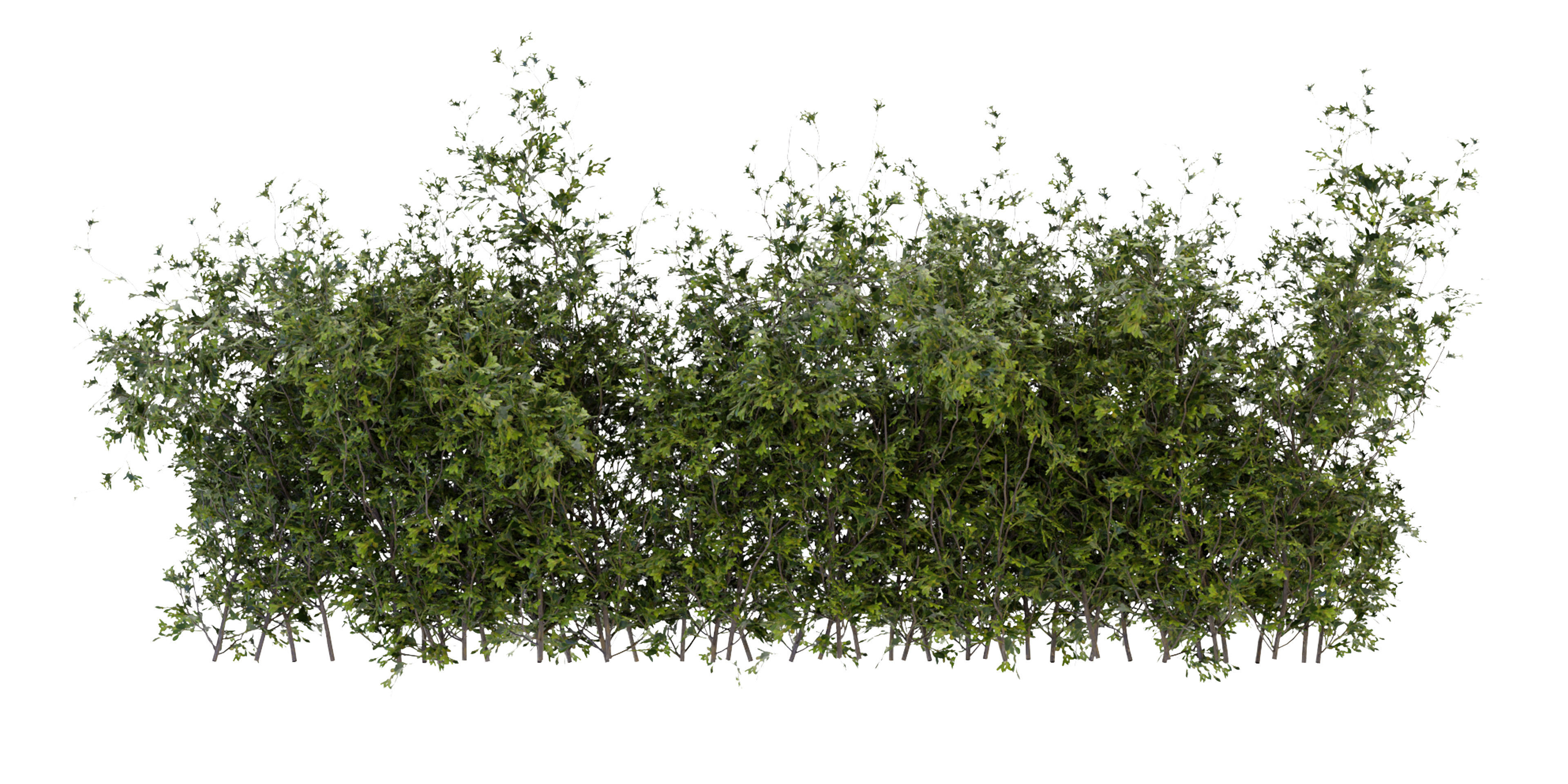 Collection plant vol 309 - blender model  3D model_4