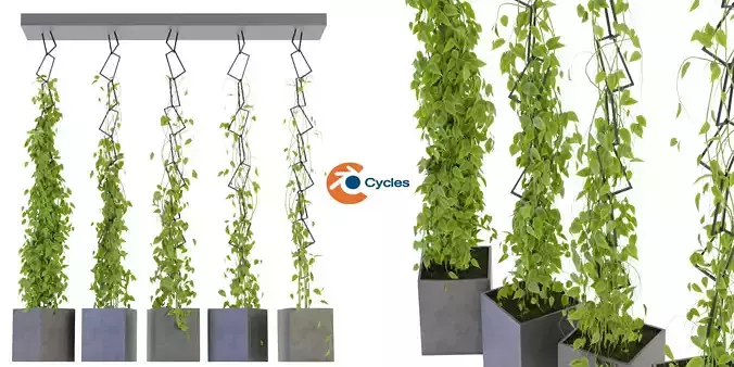 Collection plant vol 314 - blender model