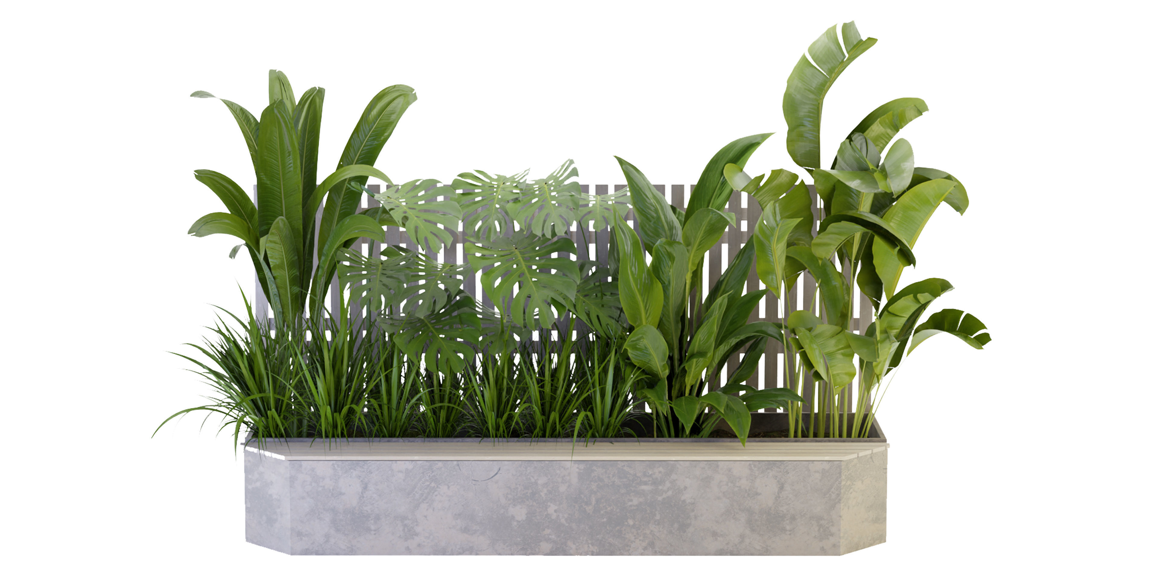 Collection plant vol 317 - blender model  3D model_1