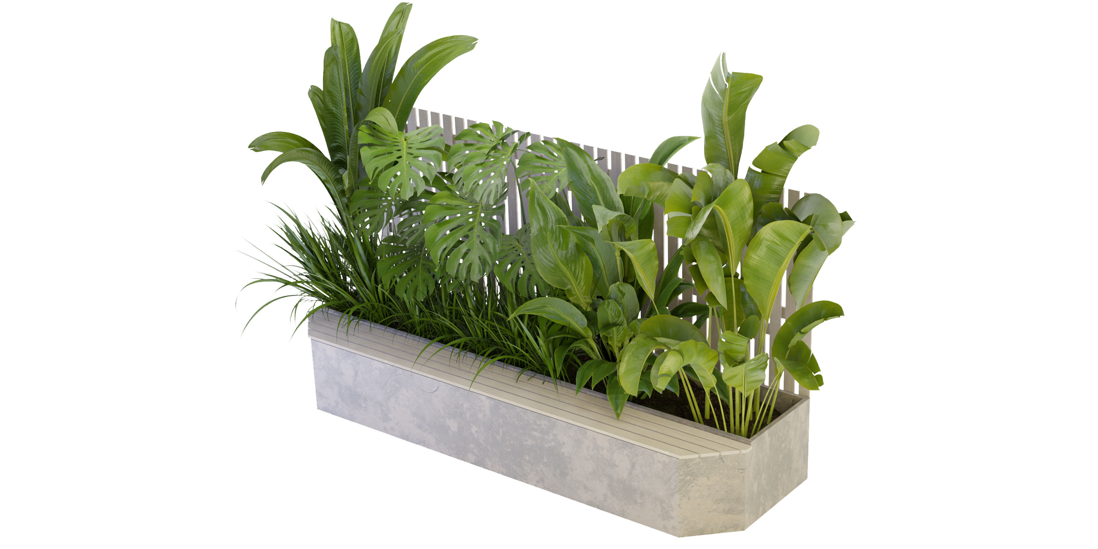 Collection plant vol 317 - blender model  3D model_3