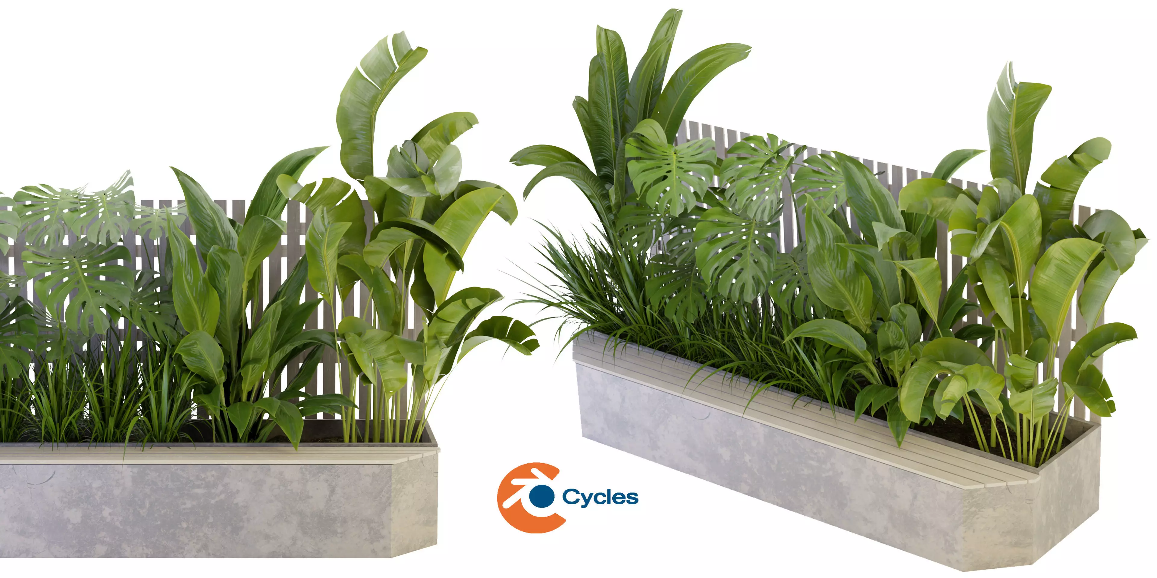 Collection plant vol 317 - blender model  3D model_0