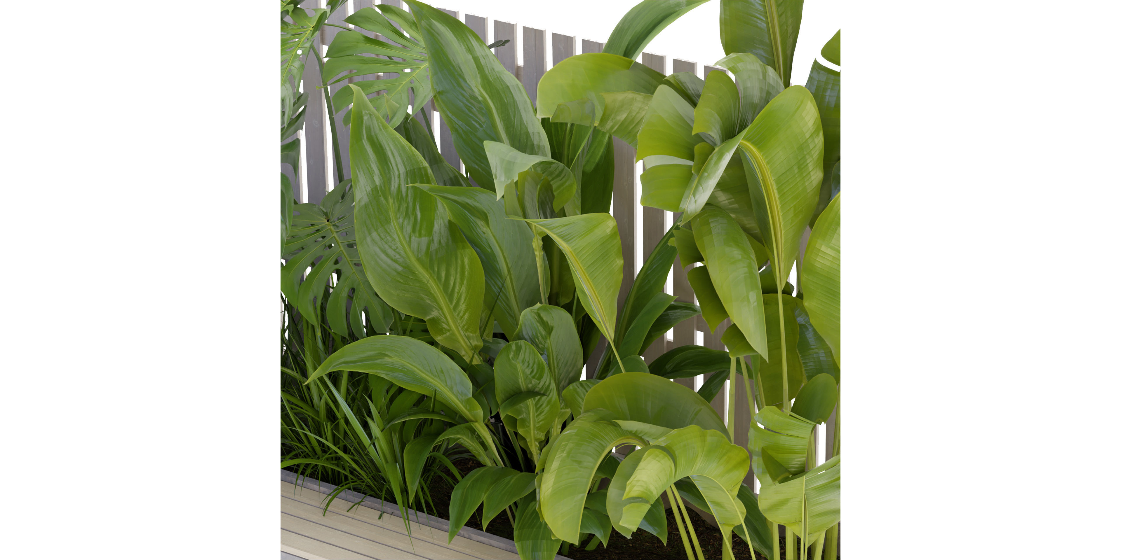 Collection plant vol 317 - blender model  3D model_4