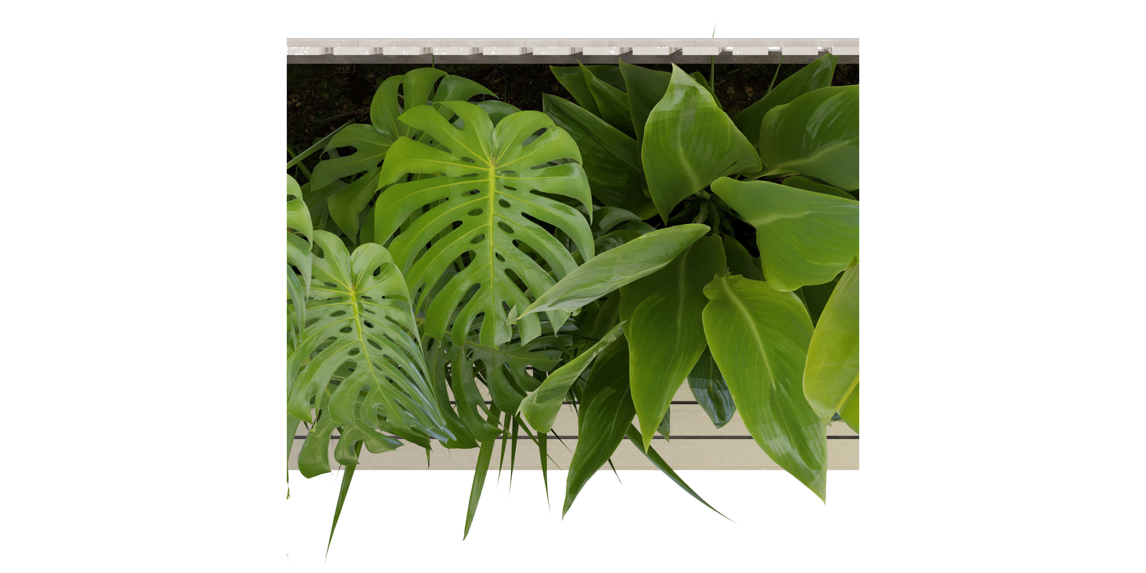 Collection plant vol 317 - blender model  3D model_5