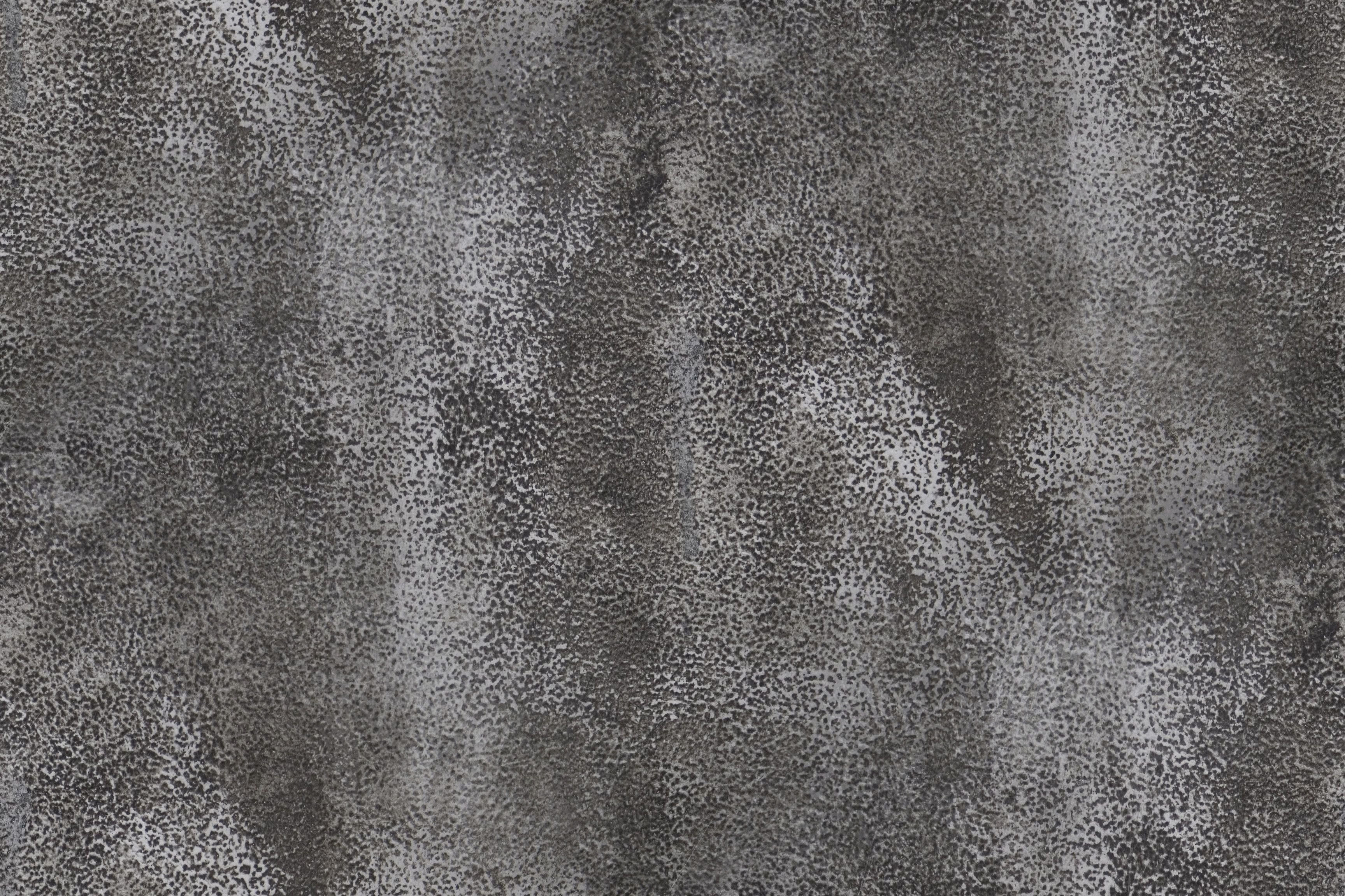 Fish Sceleton Low-poly 3D model_6