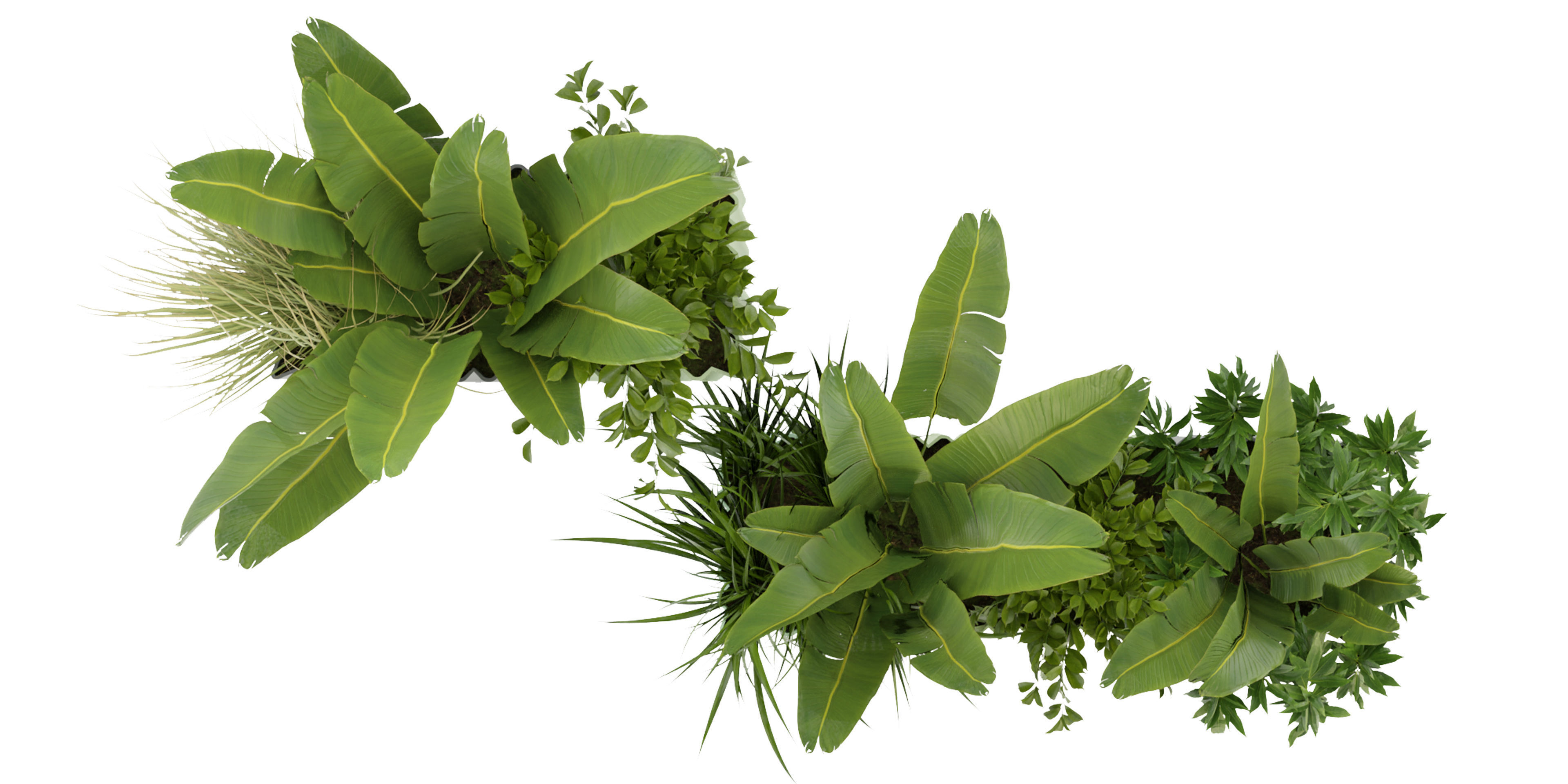 Collection plant vol 318 - blender model  3D model_5