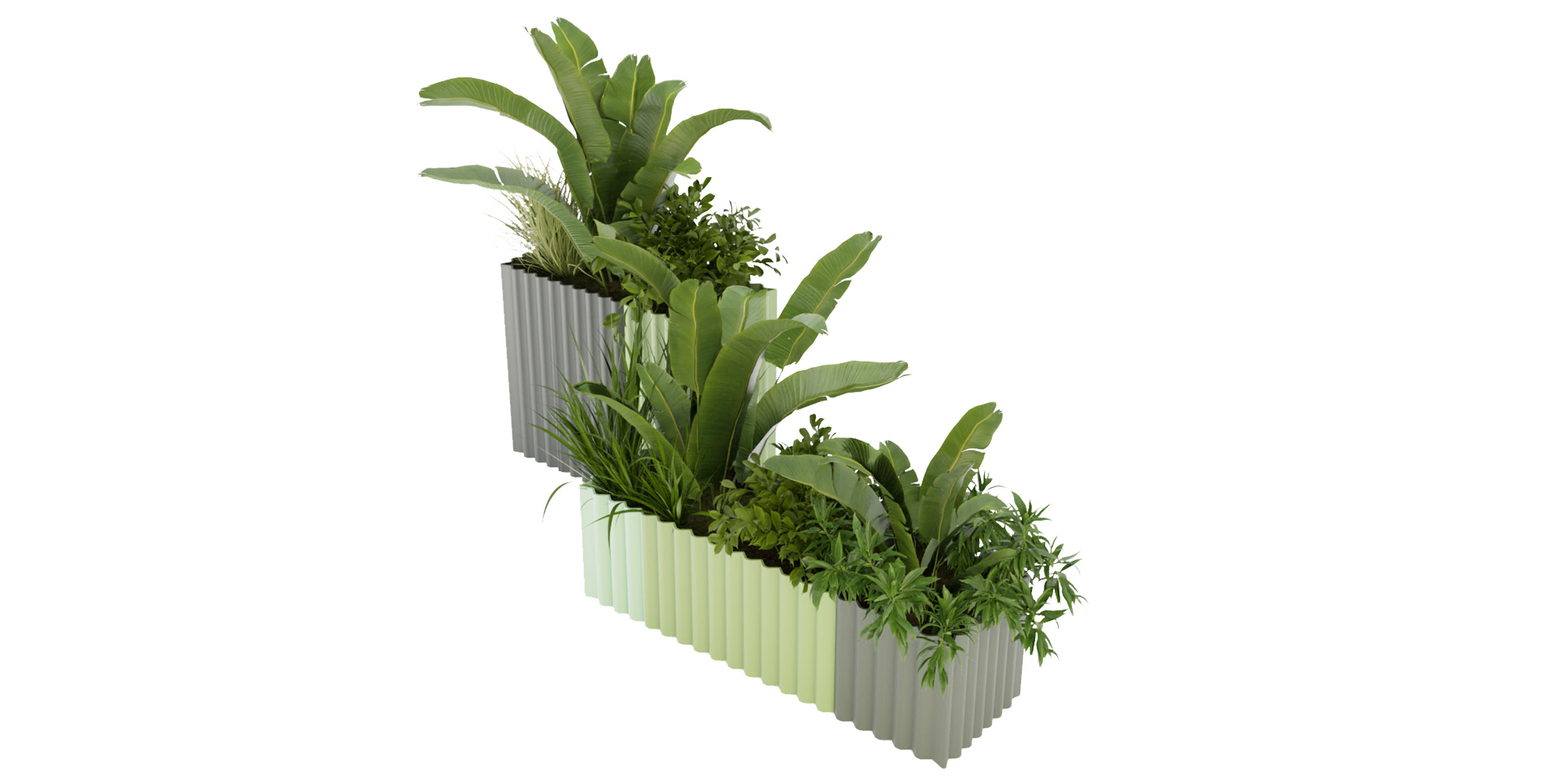 Collection plant vol 318 - blender model  3D model_4