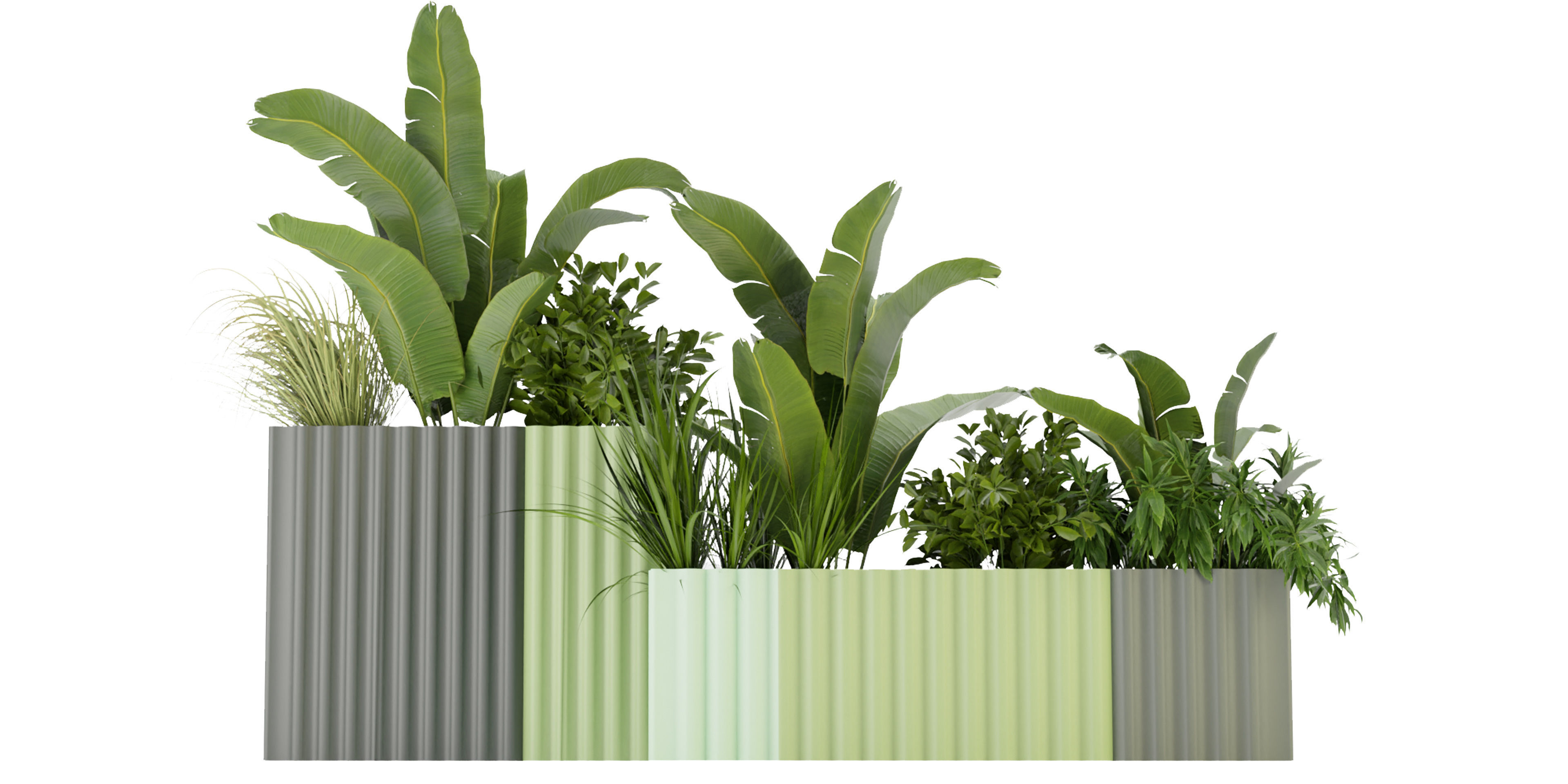 Collection plant vol 318 - blender model  3D model_1