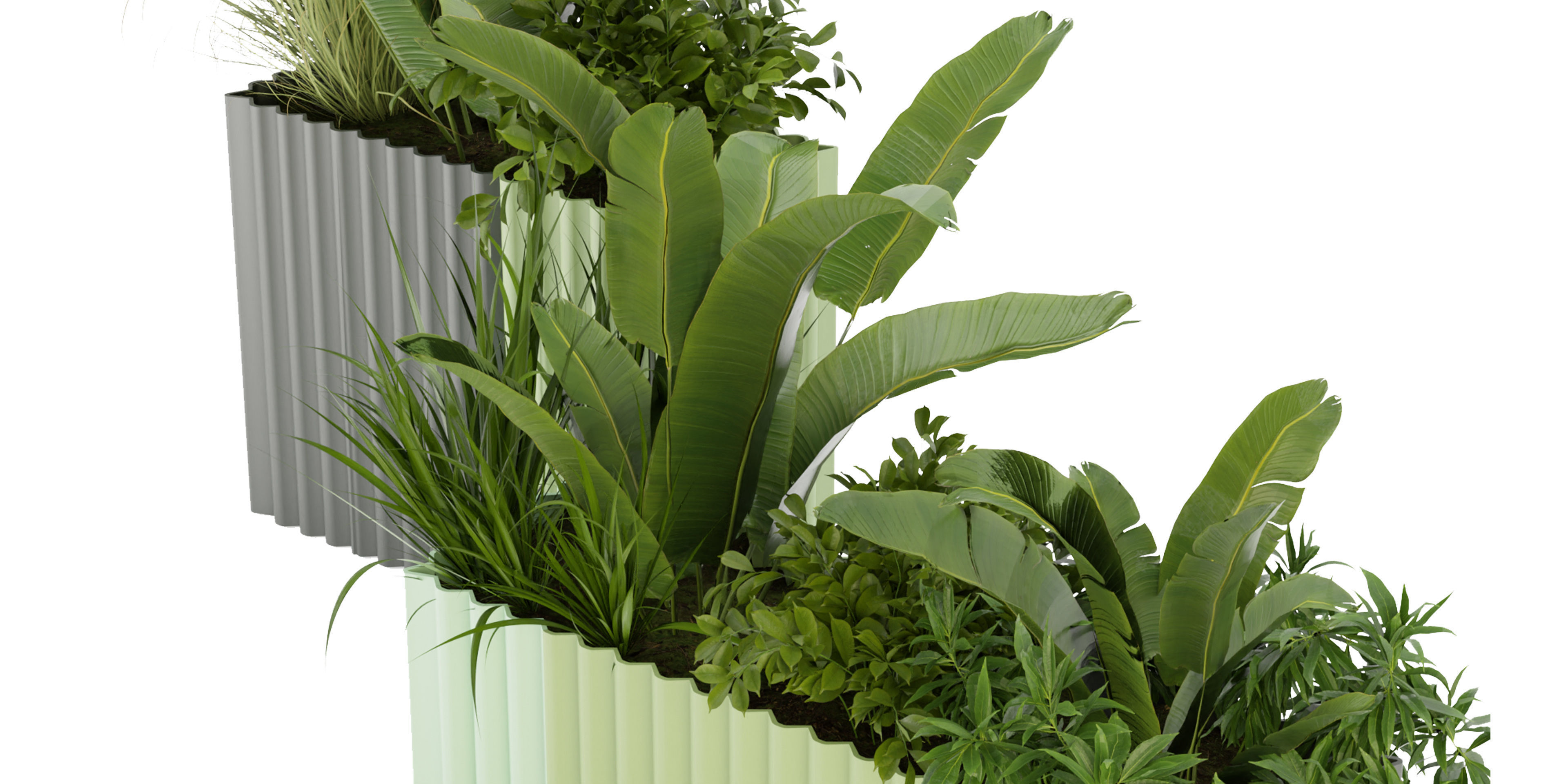 Collection plant vol 318 - blender model  3D model_3