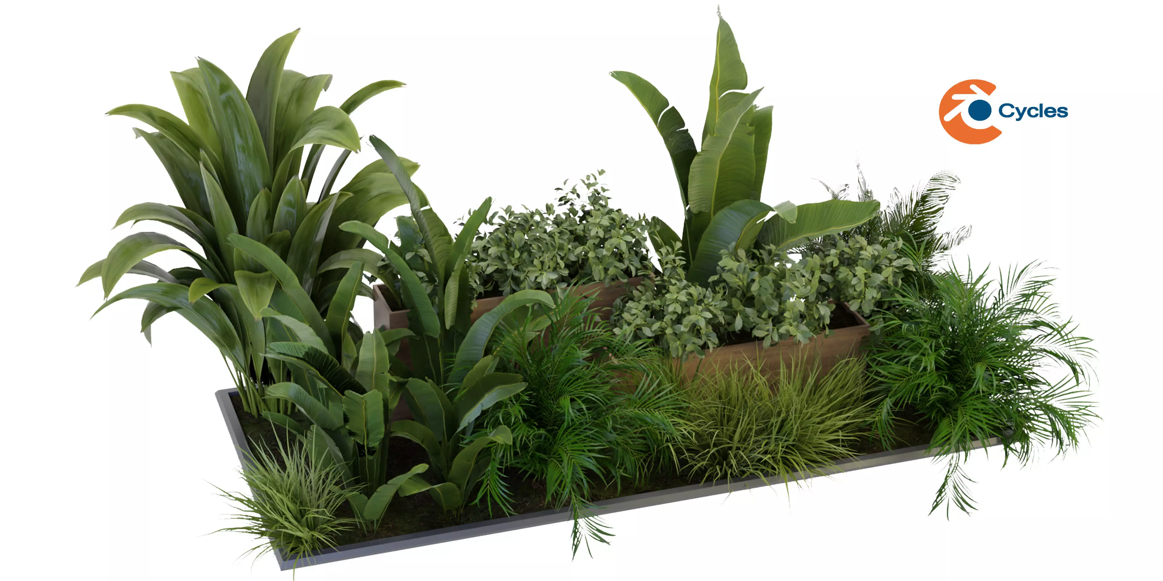 Collection plant vol 319 - blender model  3D model_0