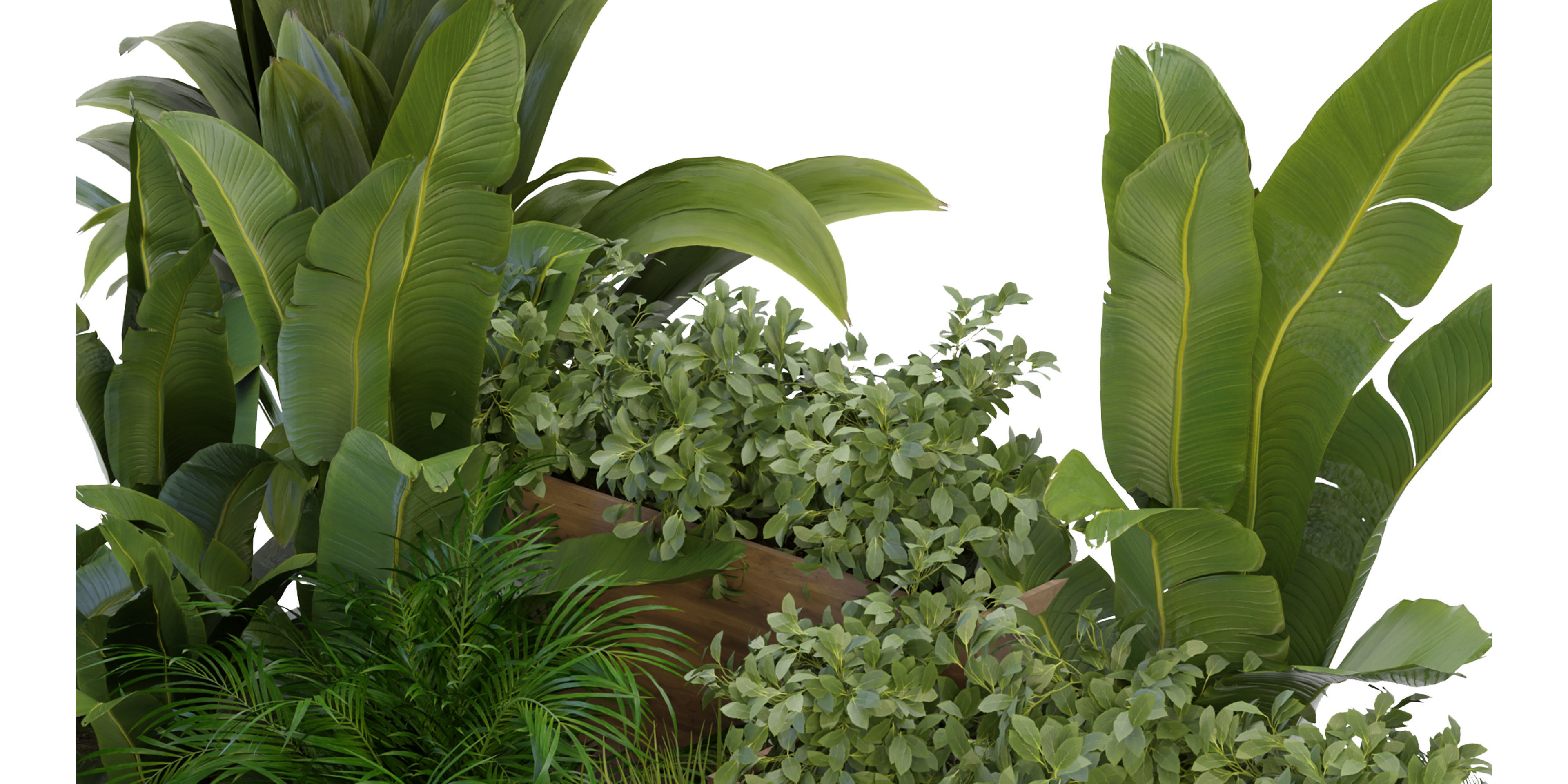 Collection plant vol 319 - blender model  3D model_3