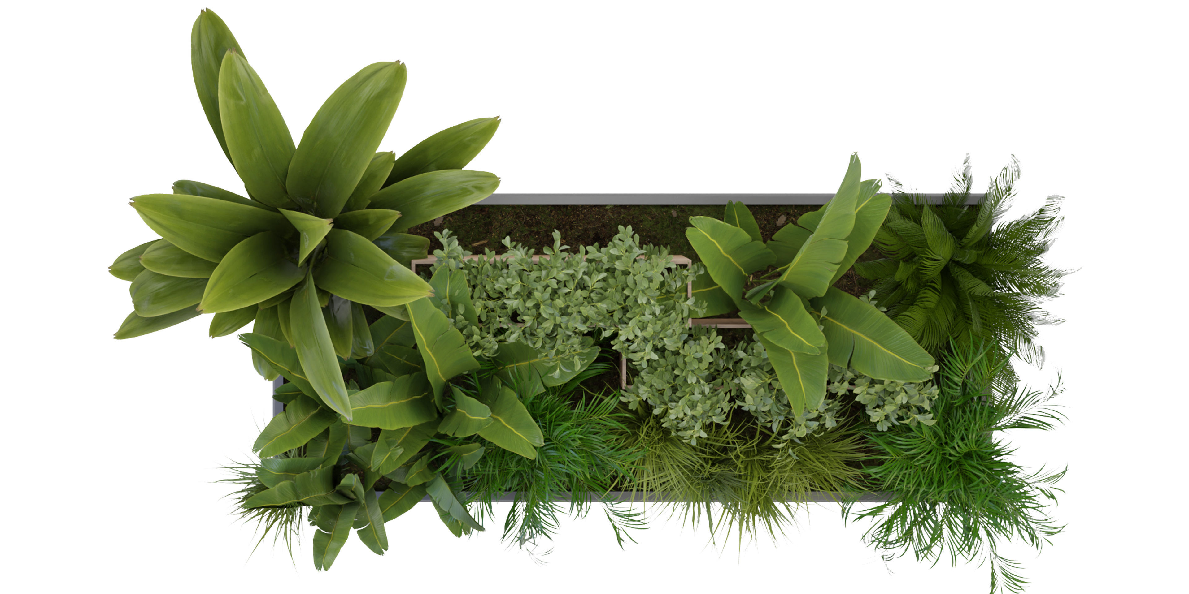 Collection plant vol 319 - blender model  3D model_5