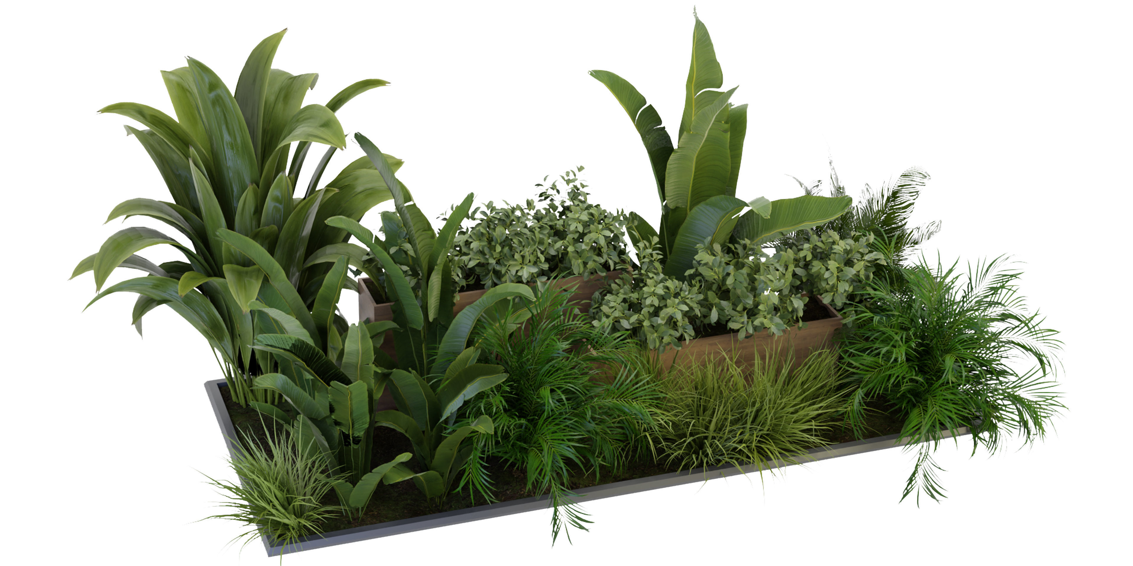 Collection plant vol 319 - blender model  3D model_4