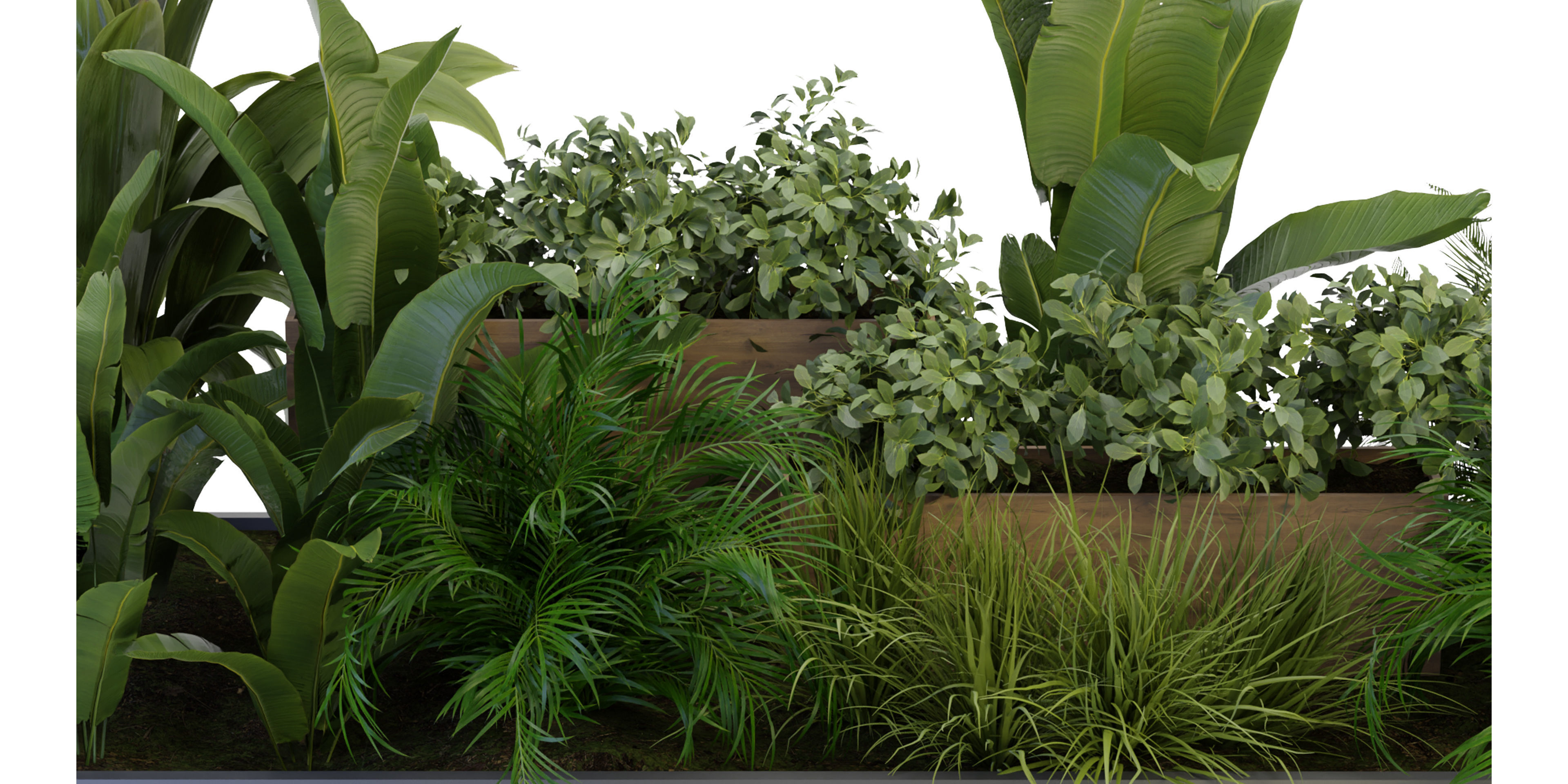 Collection plant vol 319 - blender model  3D model_2