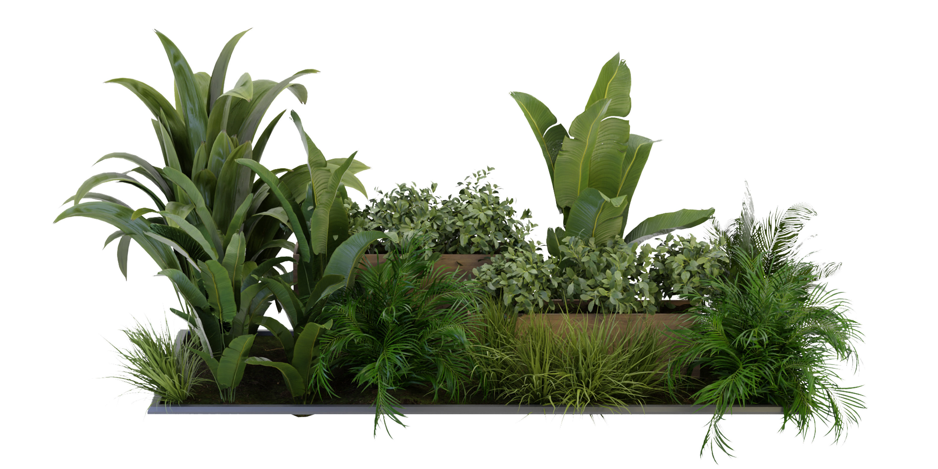 Collection plant vol 319 - blender model  3D model_1