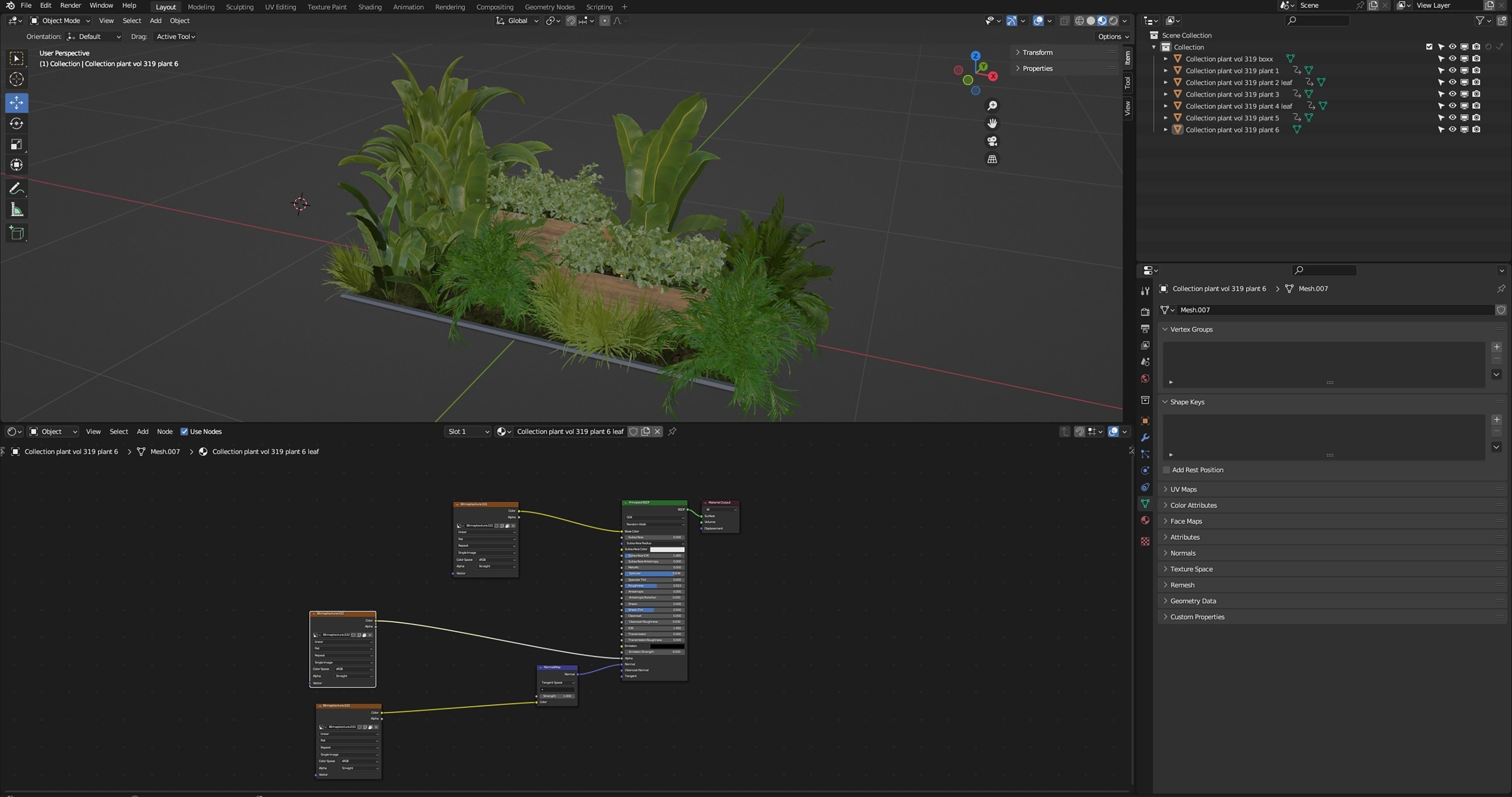 Collection plant vol 319 - blender model  3D model_6