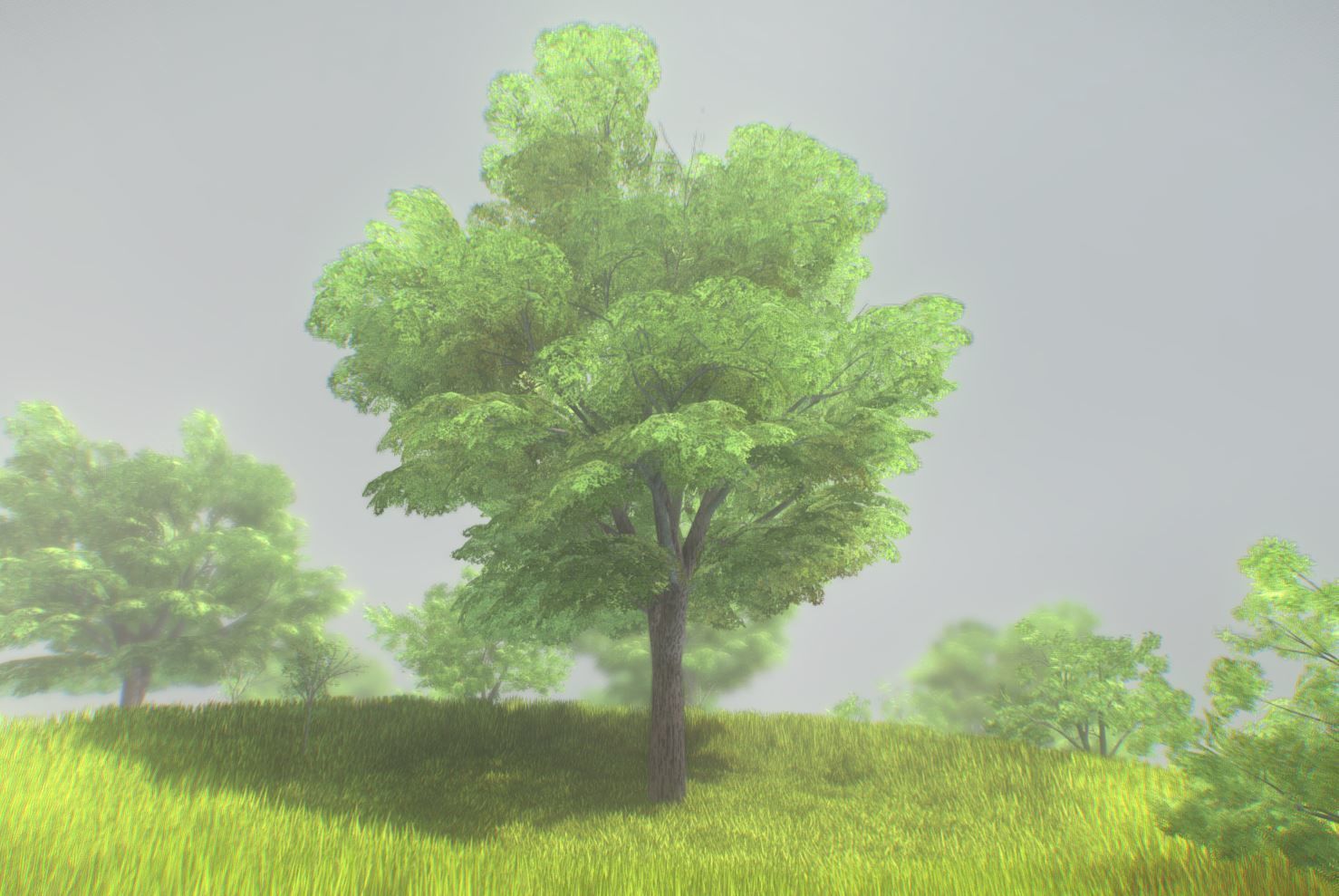 Low-Poly Walnut Tree Package Low-poly 3D model_2